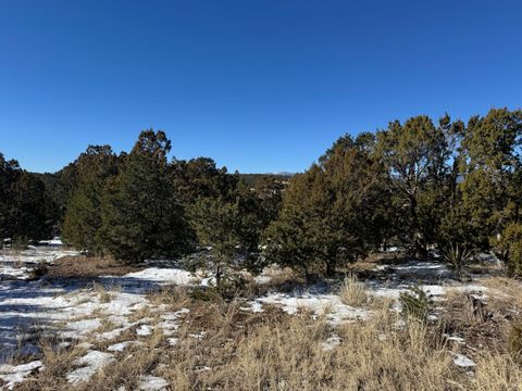 Vacant Land For Sale - 21 Punch Court<br/> Bernalillo County, Tijeras, NM 87059