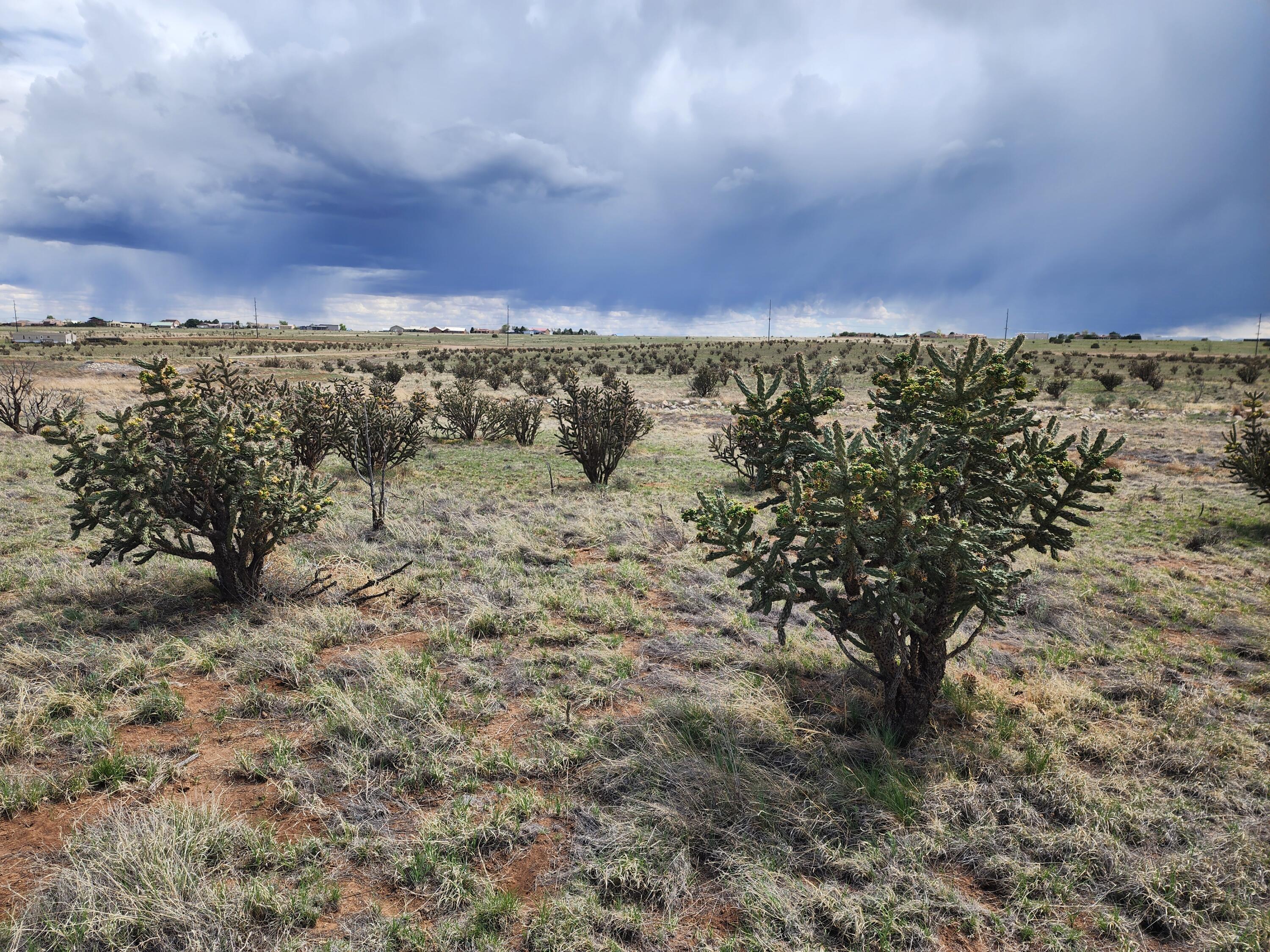 104 Evening Star Loop, Edgewood, New Mexico image 9