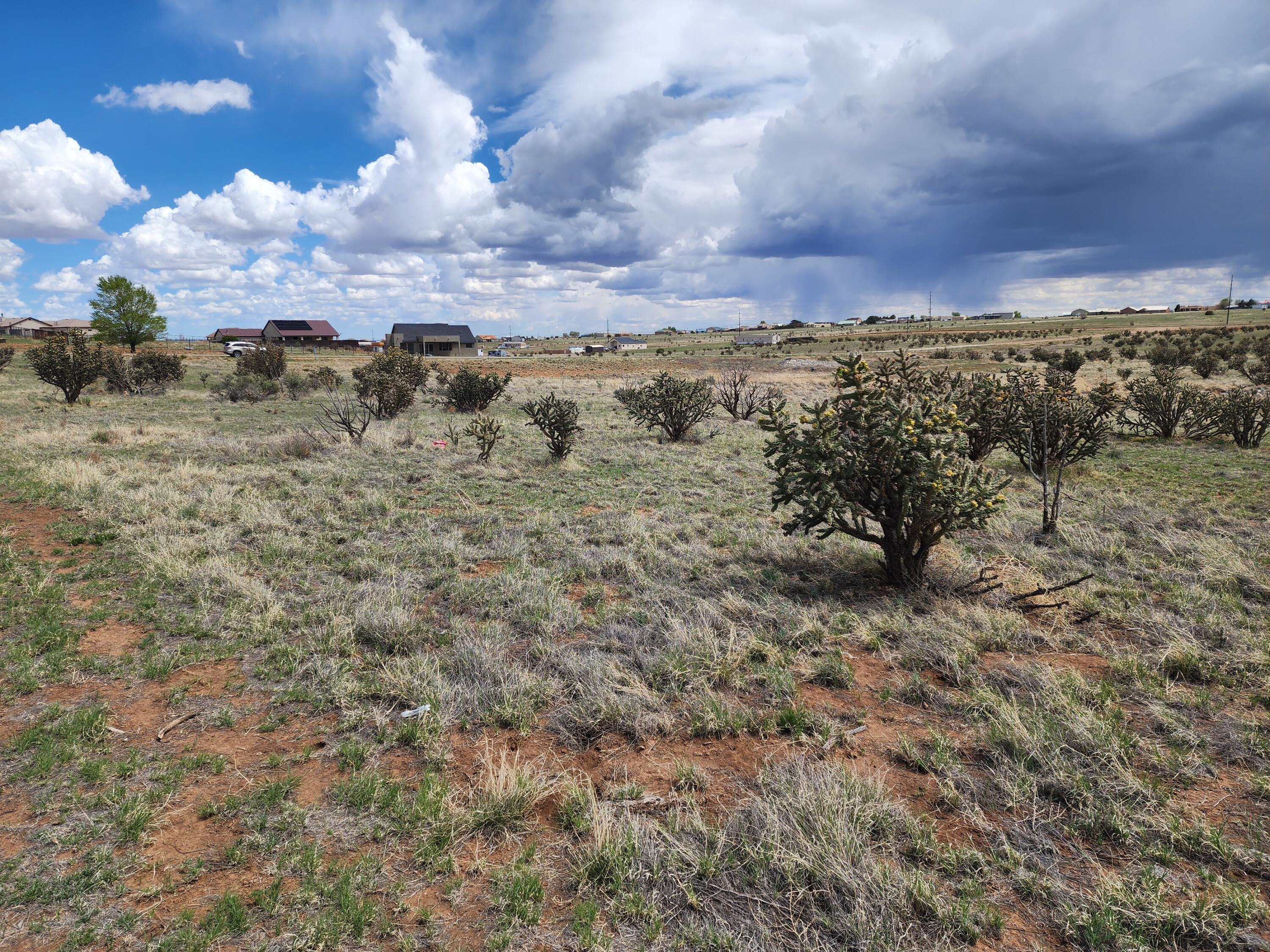 104 Evening Star Loop, Edgewood, New Mexico image 10