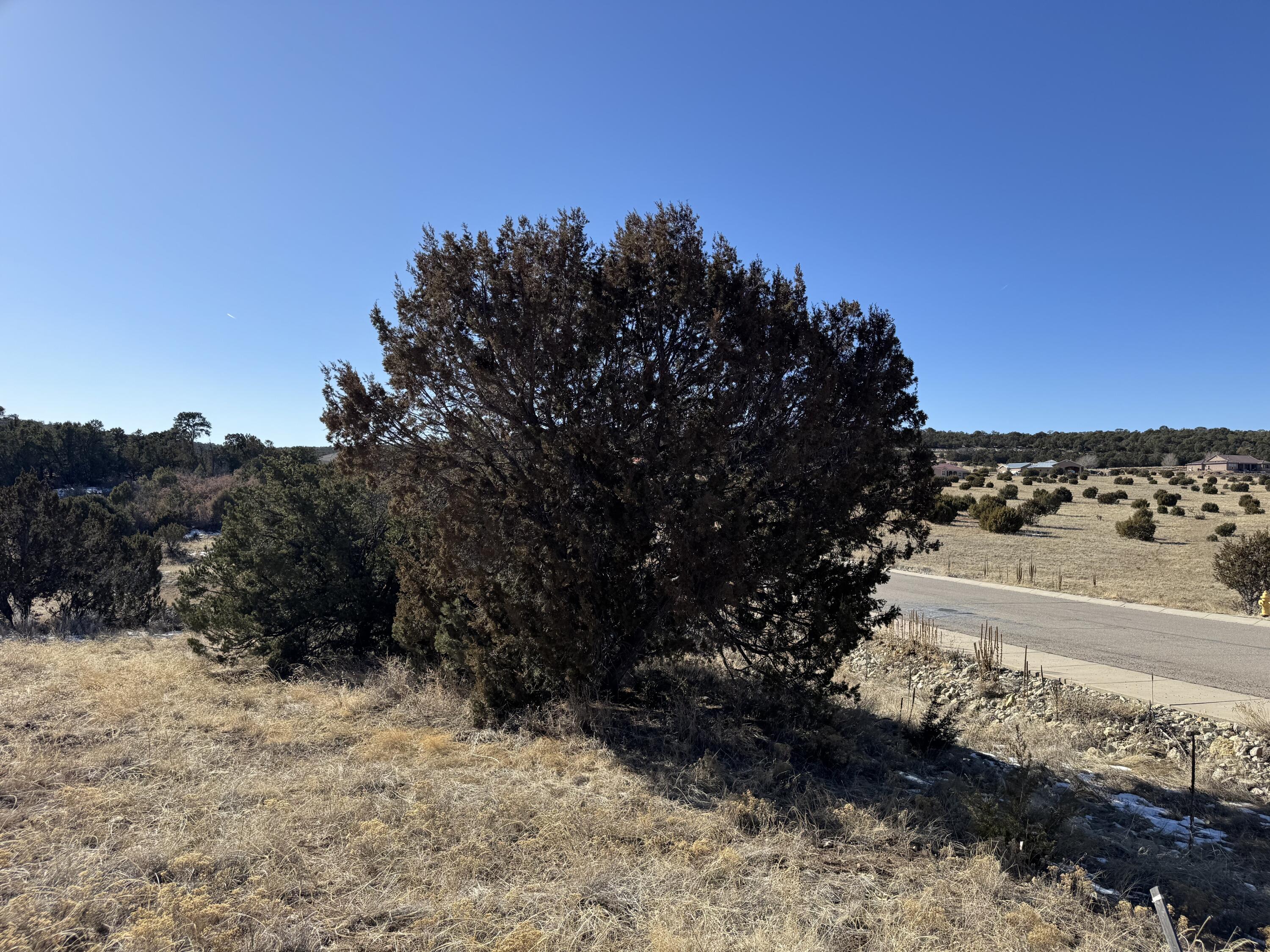 58 Bolivar Loop, Tijeras, New Mexico image 7