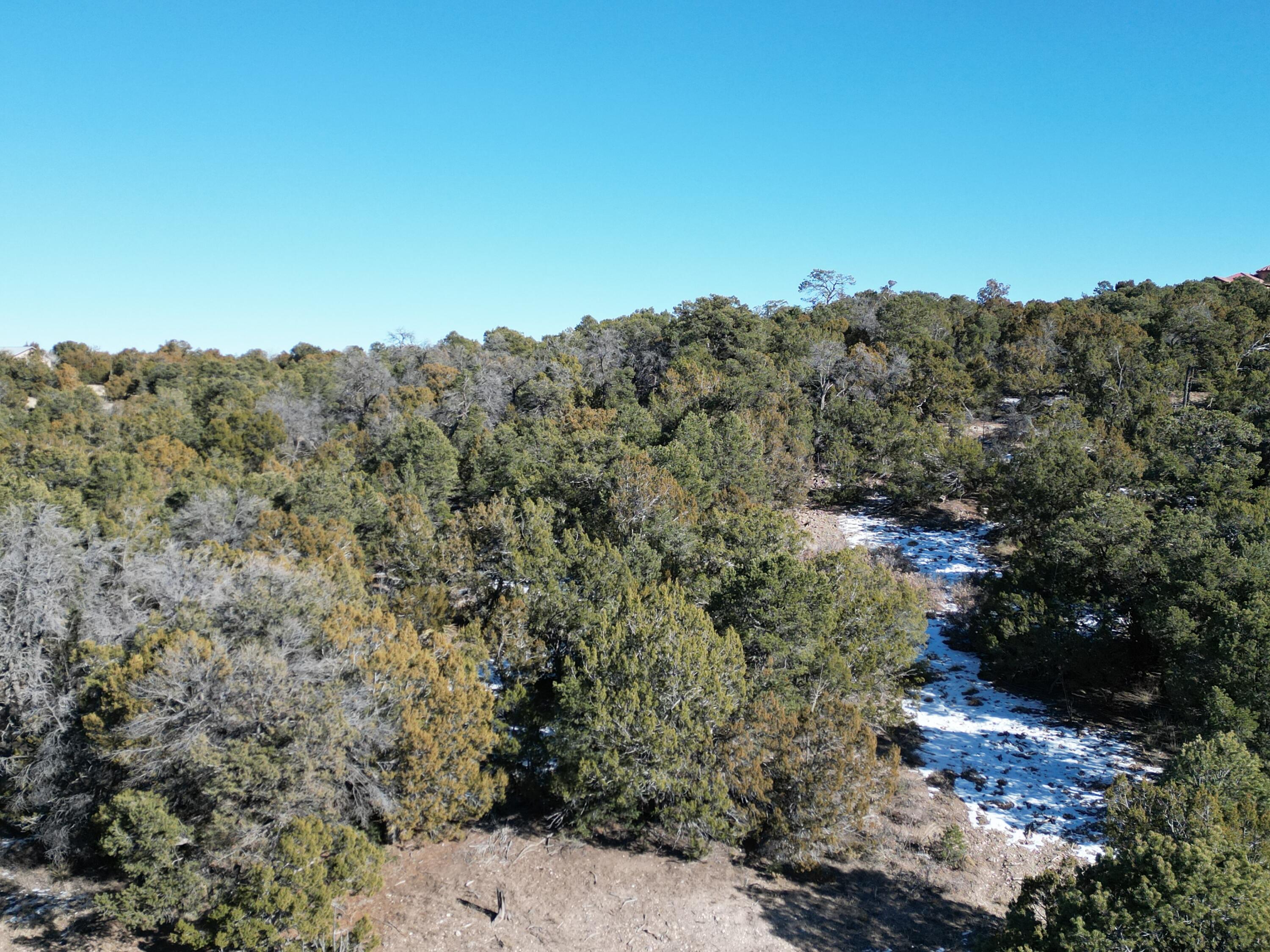 58 Bolivar Loop, Tijeras, New Mexico image 17