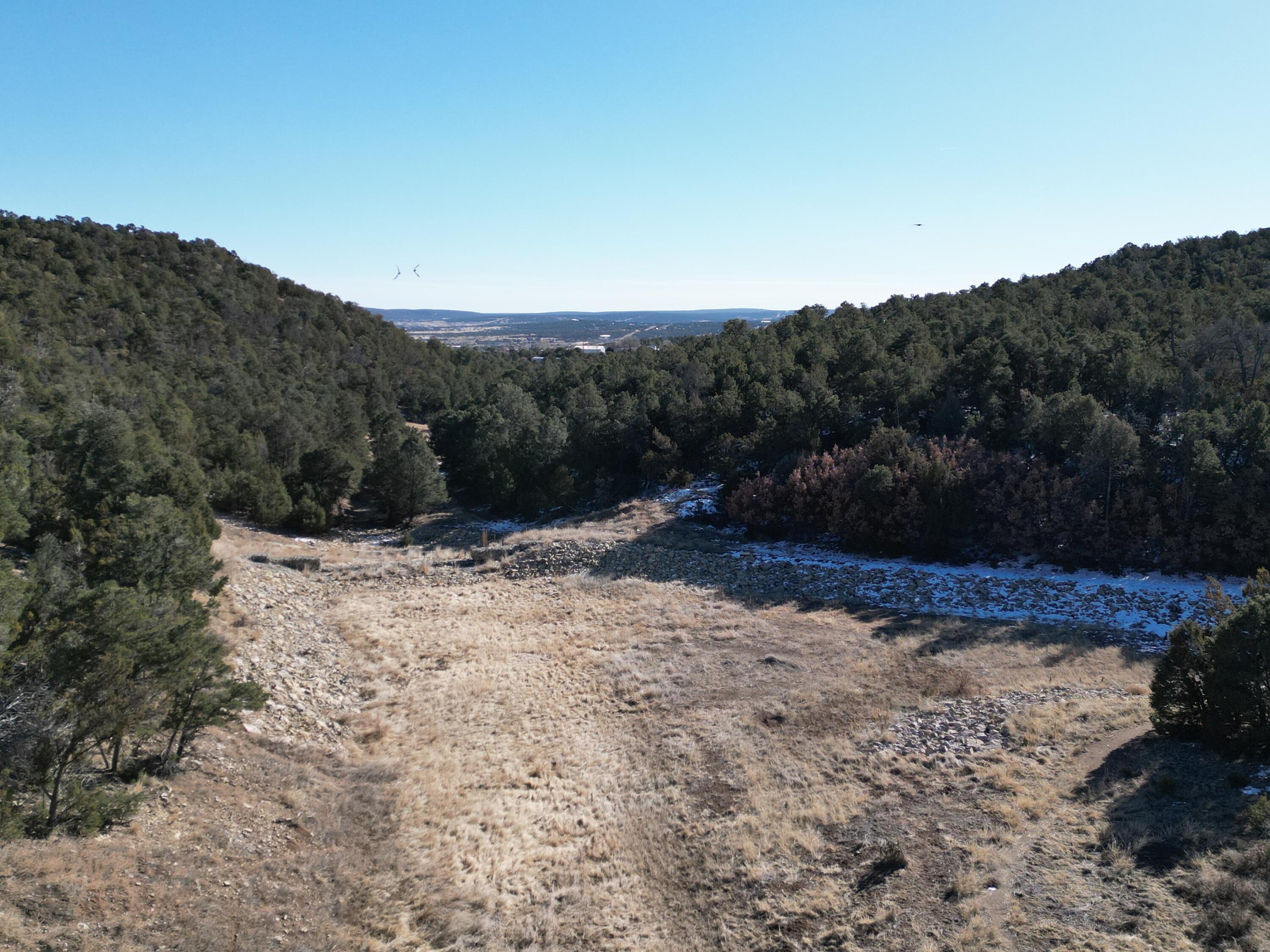 58 Bolivar Loop, Tijeras, New Mexico image 14