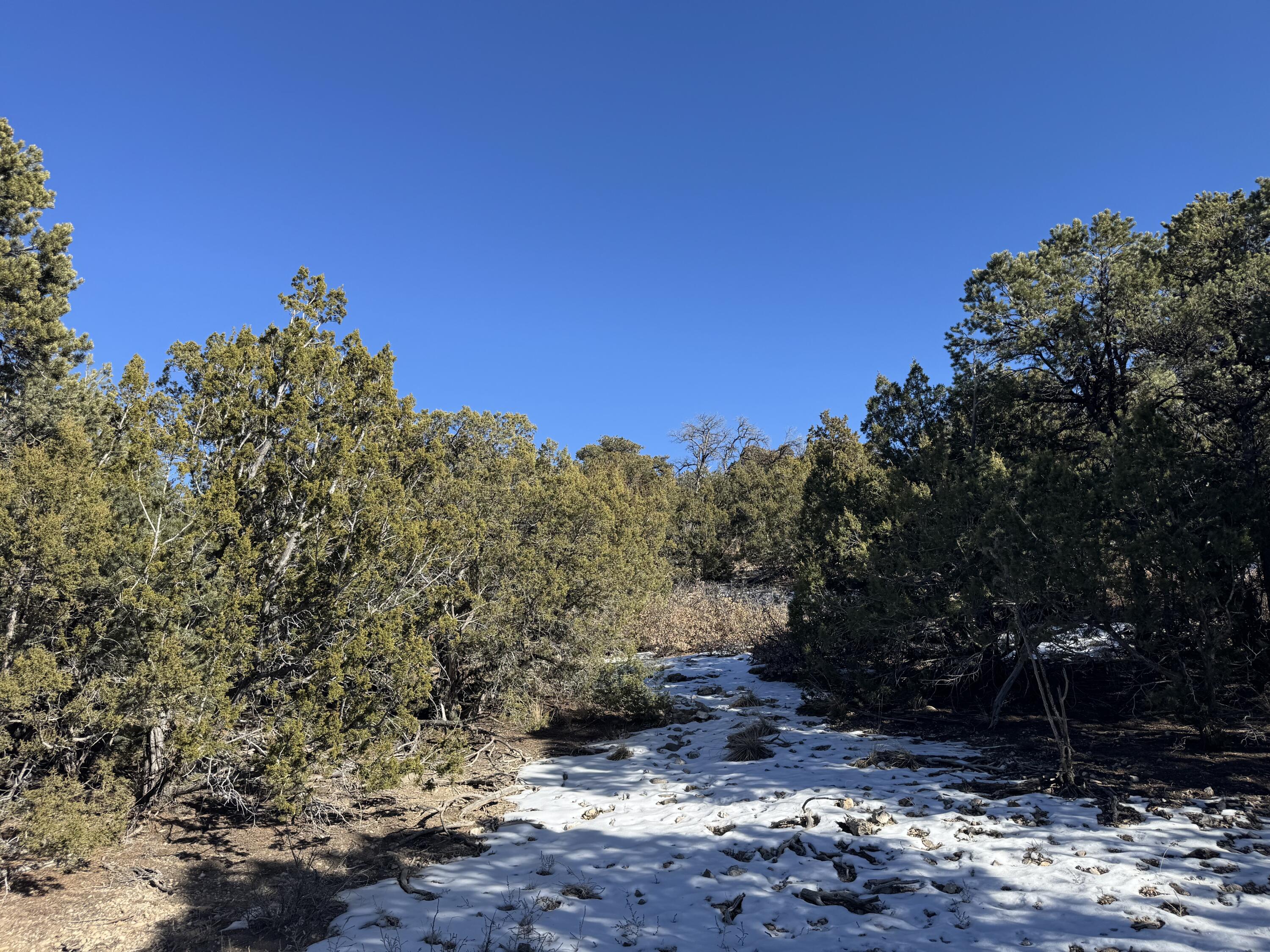 58 Bolivar Loop, Tijeras, New Mexico image 9