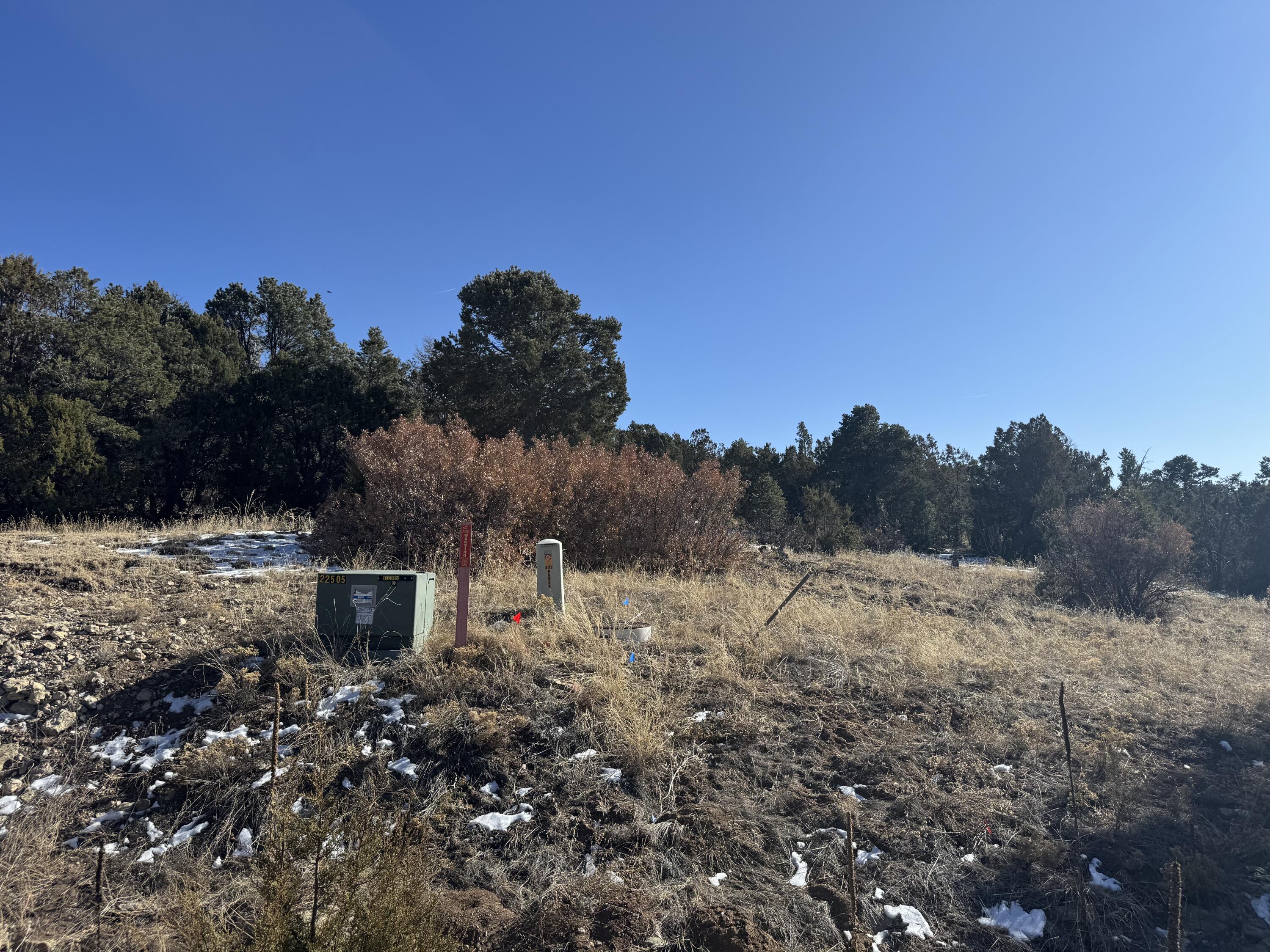 58 Bolivar Loop, Tijeras, New Mexico image 12