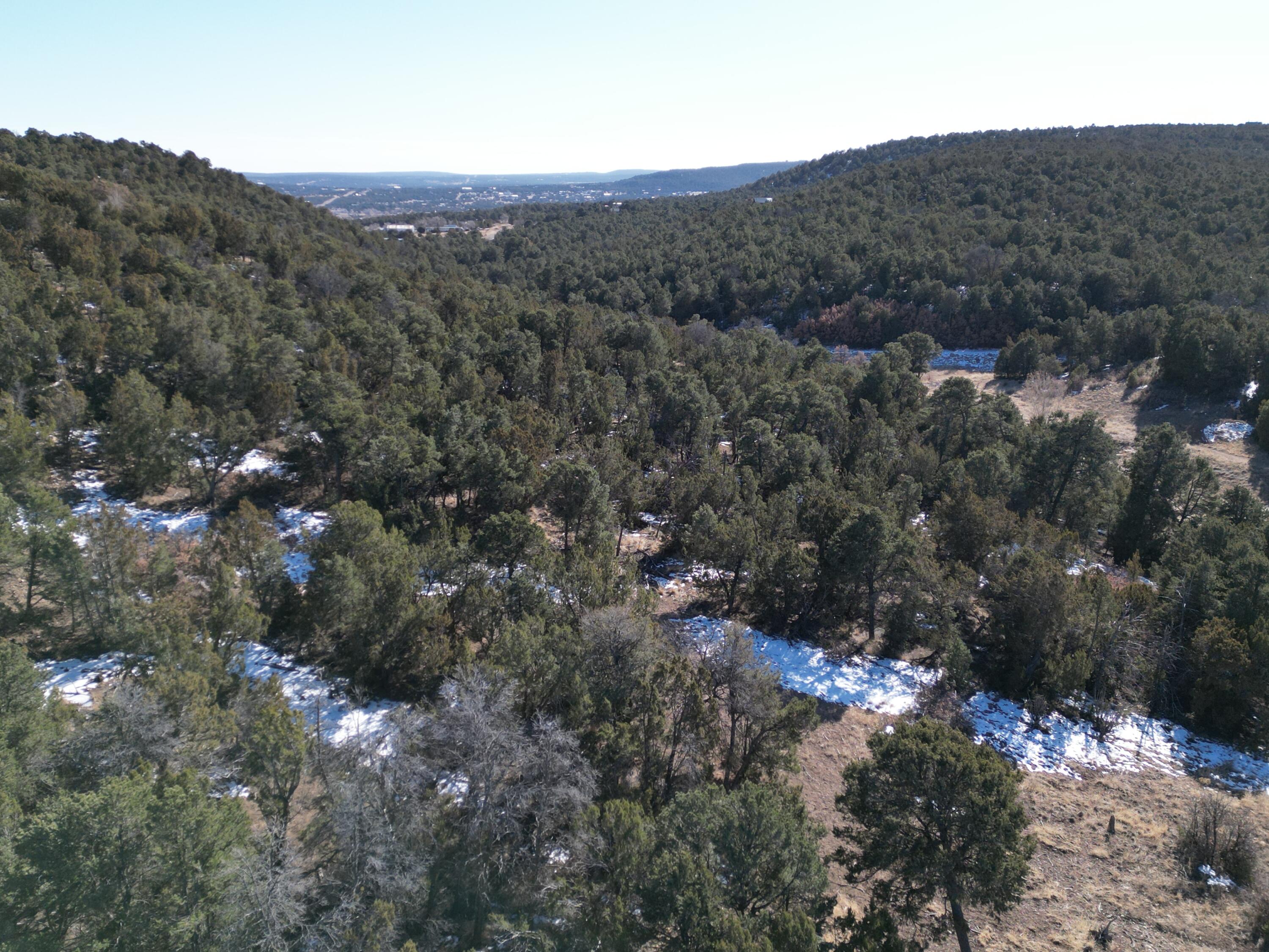 58 Bolivar Loop, Tijeras, New Mexico image 1