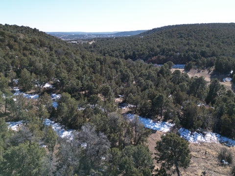 Vacant Land For Sale - 58 Bolivar Loop<br/> Bernalillo County, Tijeras, NM 87059