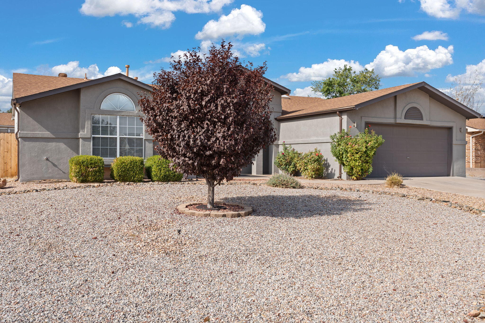 2575 Shavano Peak Drive, Rio Rancho, New Mexico image 6