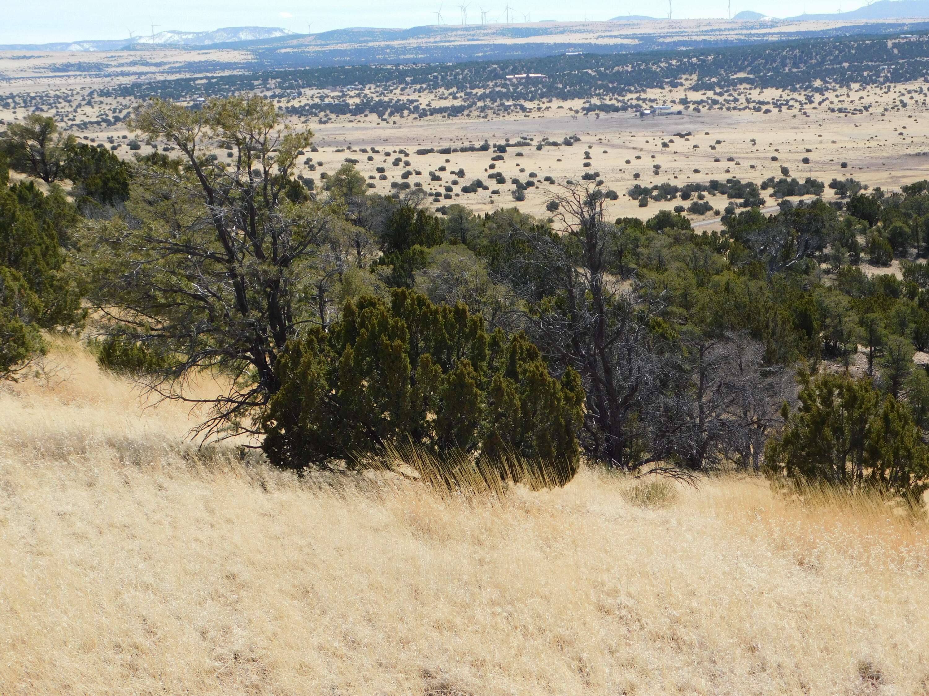 274 Deer Circle Cir, Quemado, New Mexico image 5