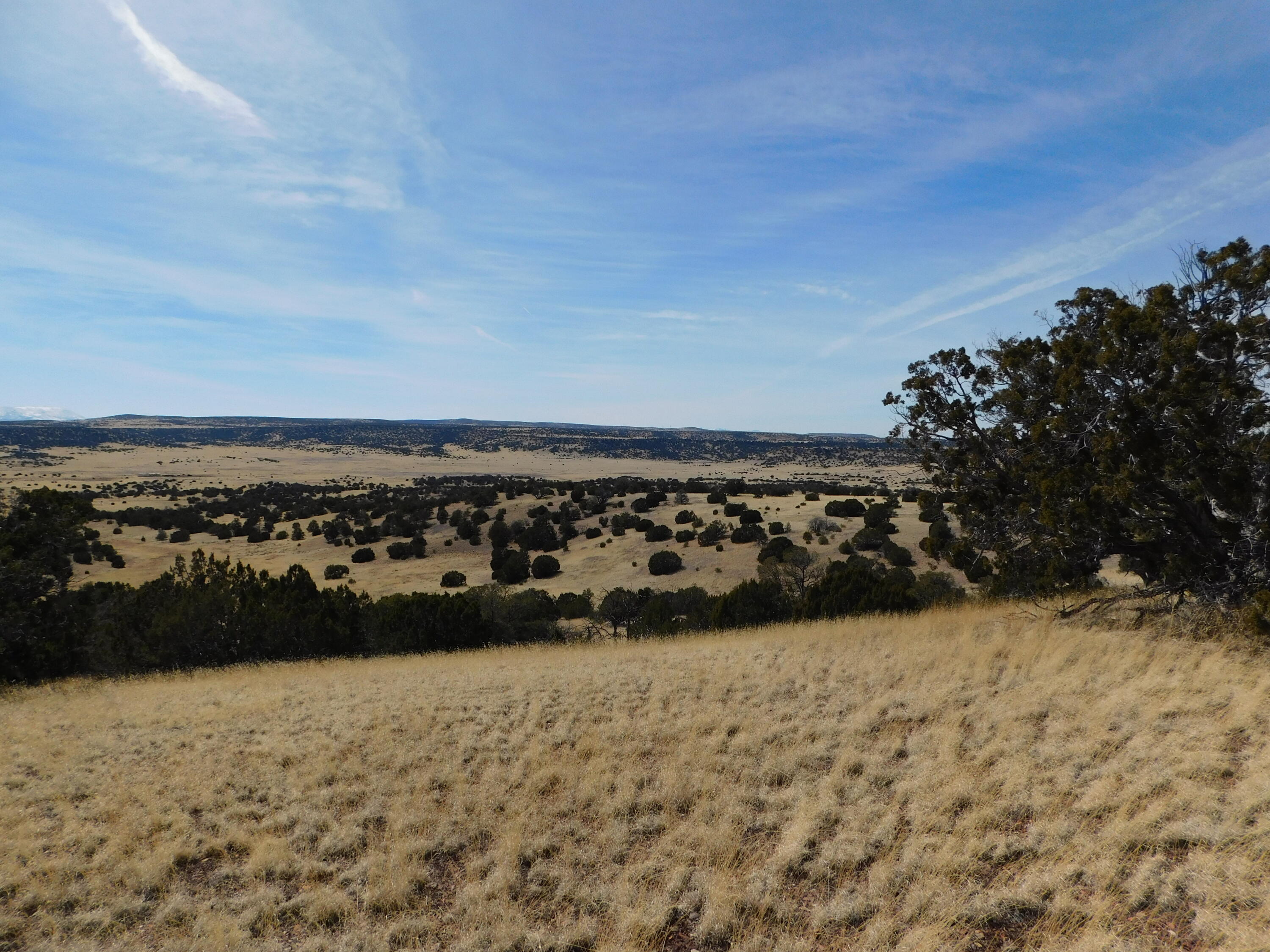 274 Deer Circle Cir, Quemado, New Mexico image 10