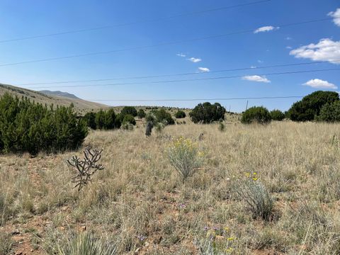 Vacant Land For Sale - 191 Kirkland Road<br/> Silver City, NM 88061