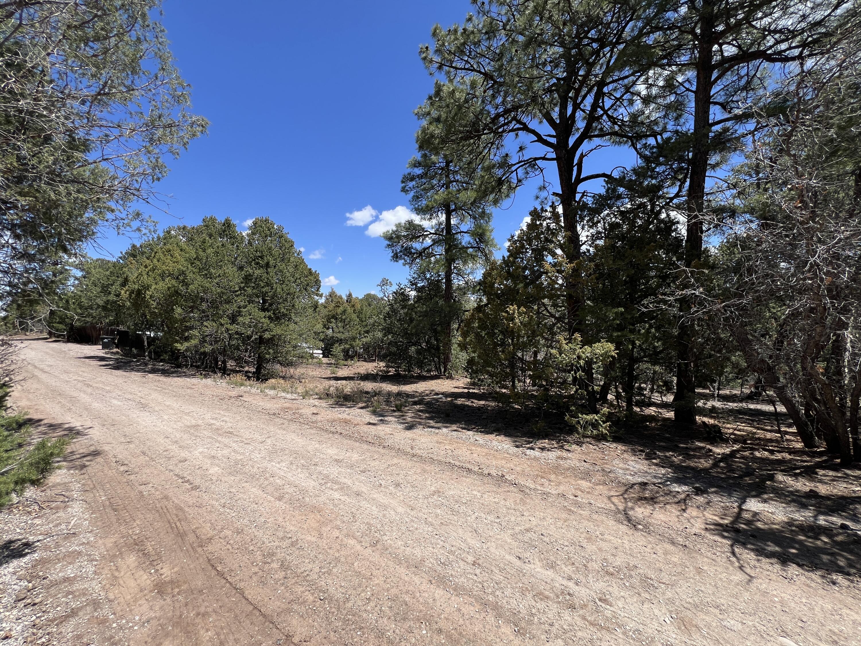 5 La Miranda Pl, Tijeras, New Mexico image 5