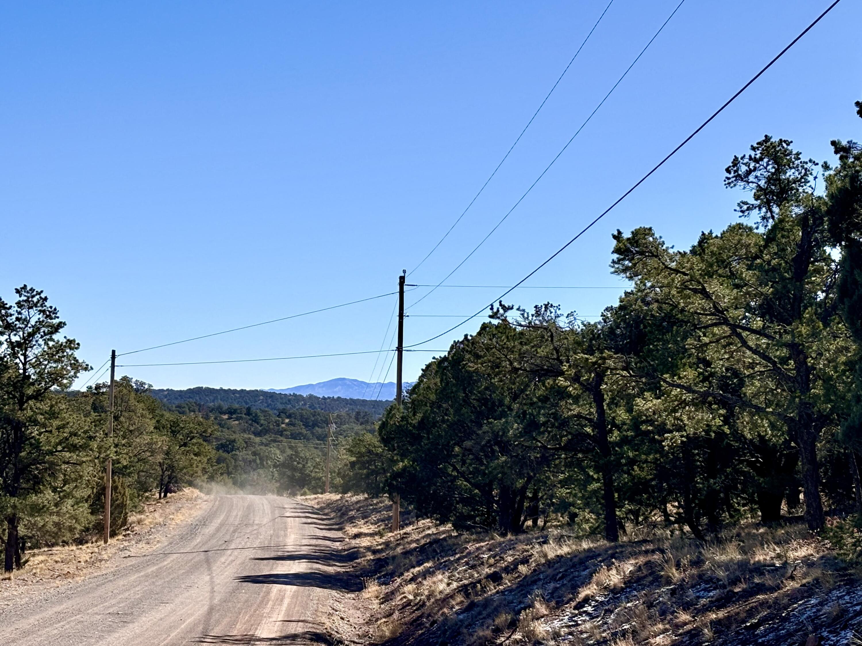 163 Windmill Drive, Datil, New Mexico image 9