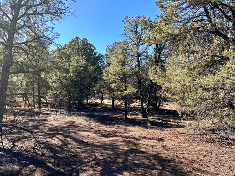 Vacant Land For Sale - Lot 163 Windmill Drive<br/> Catron County, Datil, NM 87821