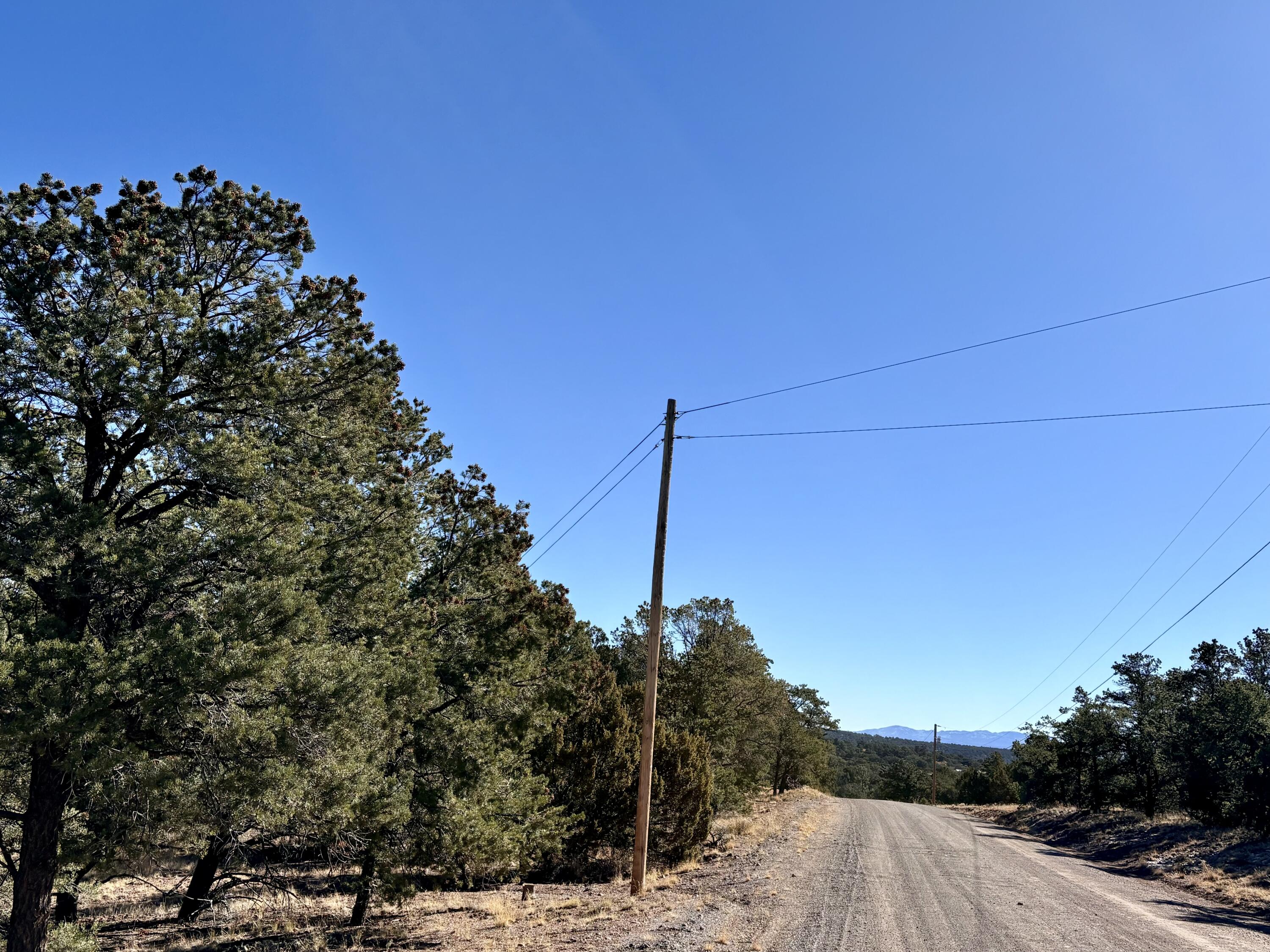 163 Windmill Drive, Datil, New Mexico image 10