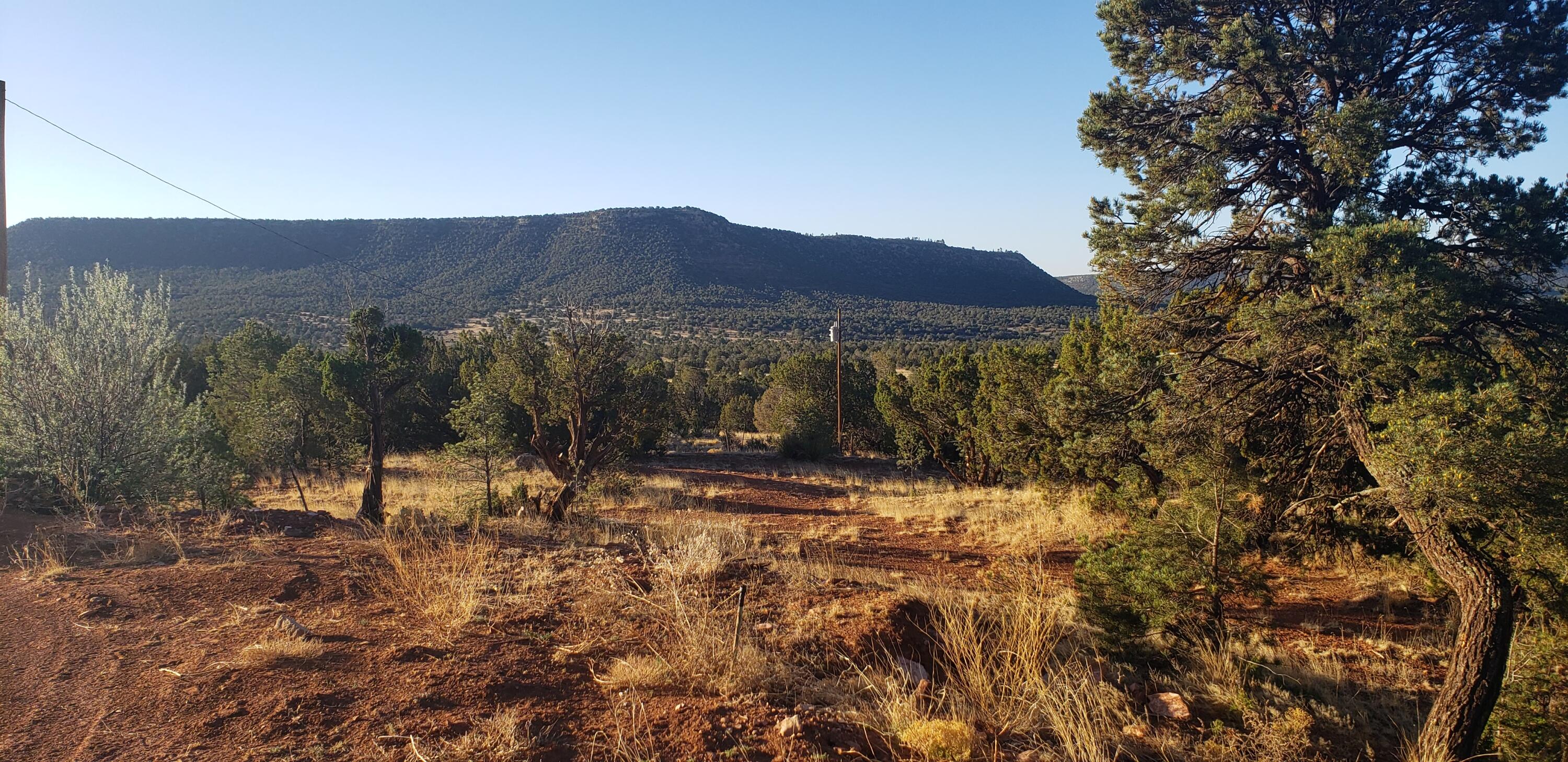 County Rd  B31a, Ribera, New Mexico image 21