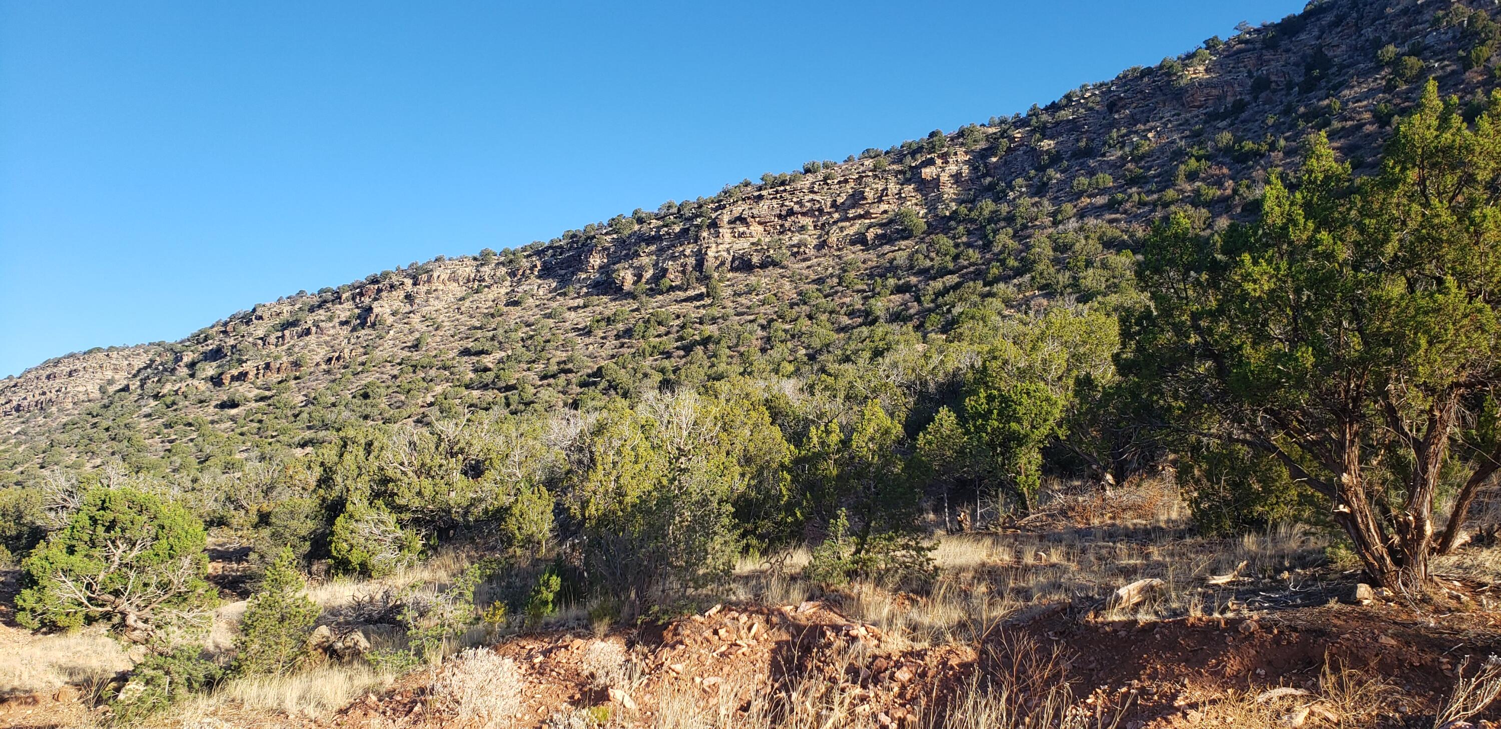 County Rd  B31a, Ribera, New Mexico image 20