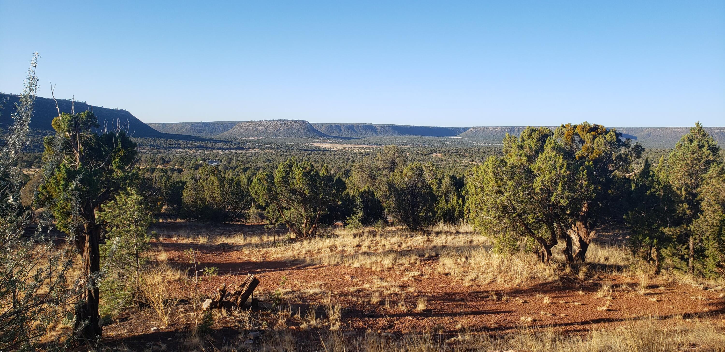 County Rd  B31a, Ribera, New Mexico image 1