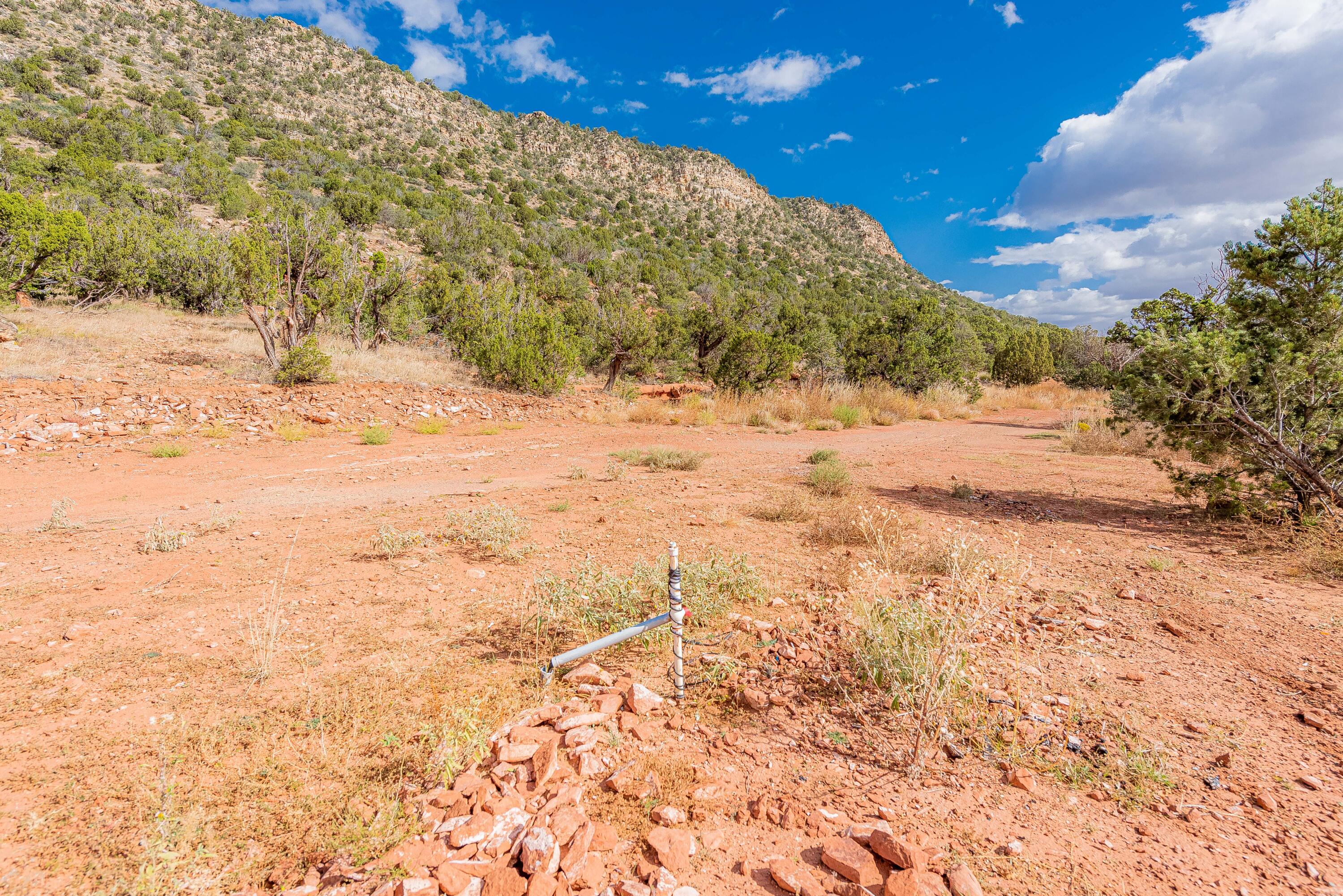 County Rd  B31a, Ribera, New Mexico image 12