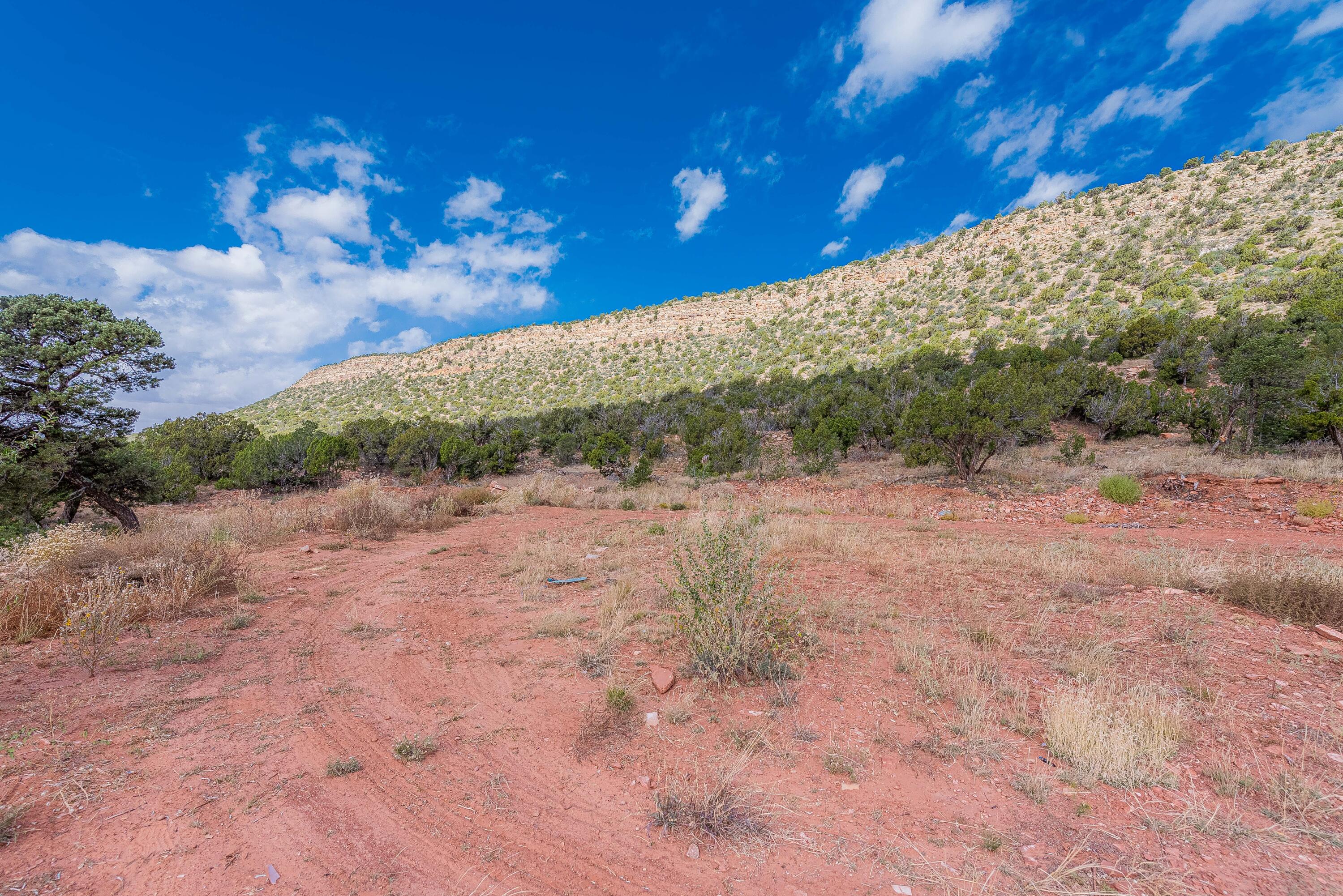 County Rd  B31a, Ribera, New Mexico image 13