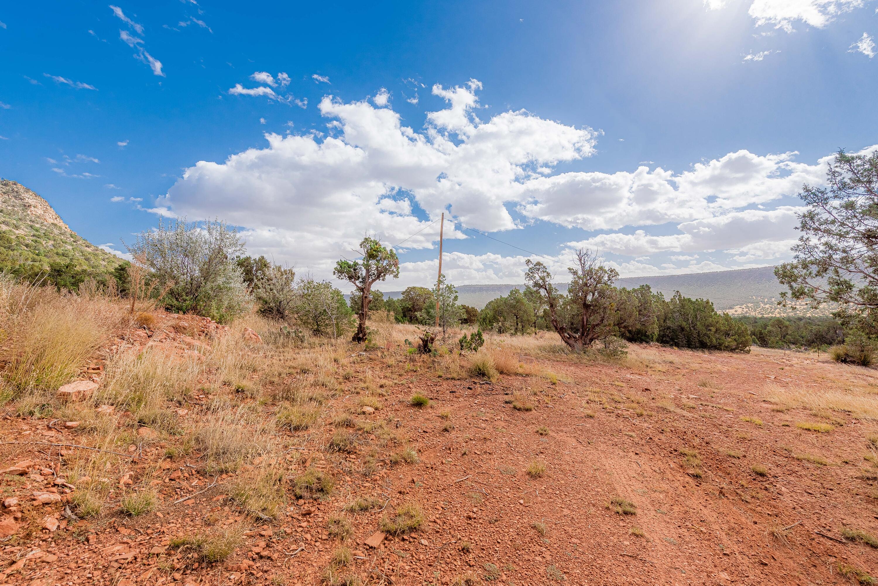 County Rd  B31a, Ribera, New Mexico image 11