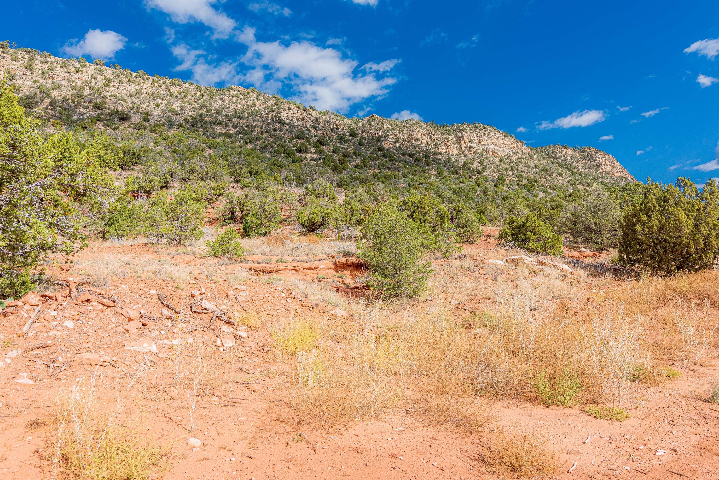 County Rd  B31a, Ribera, New Mexico image 9