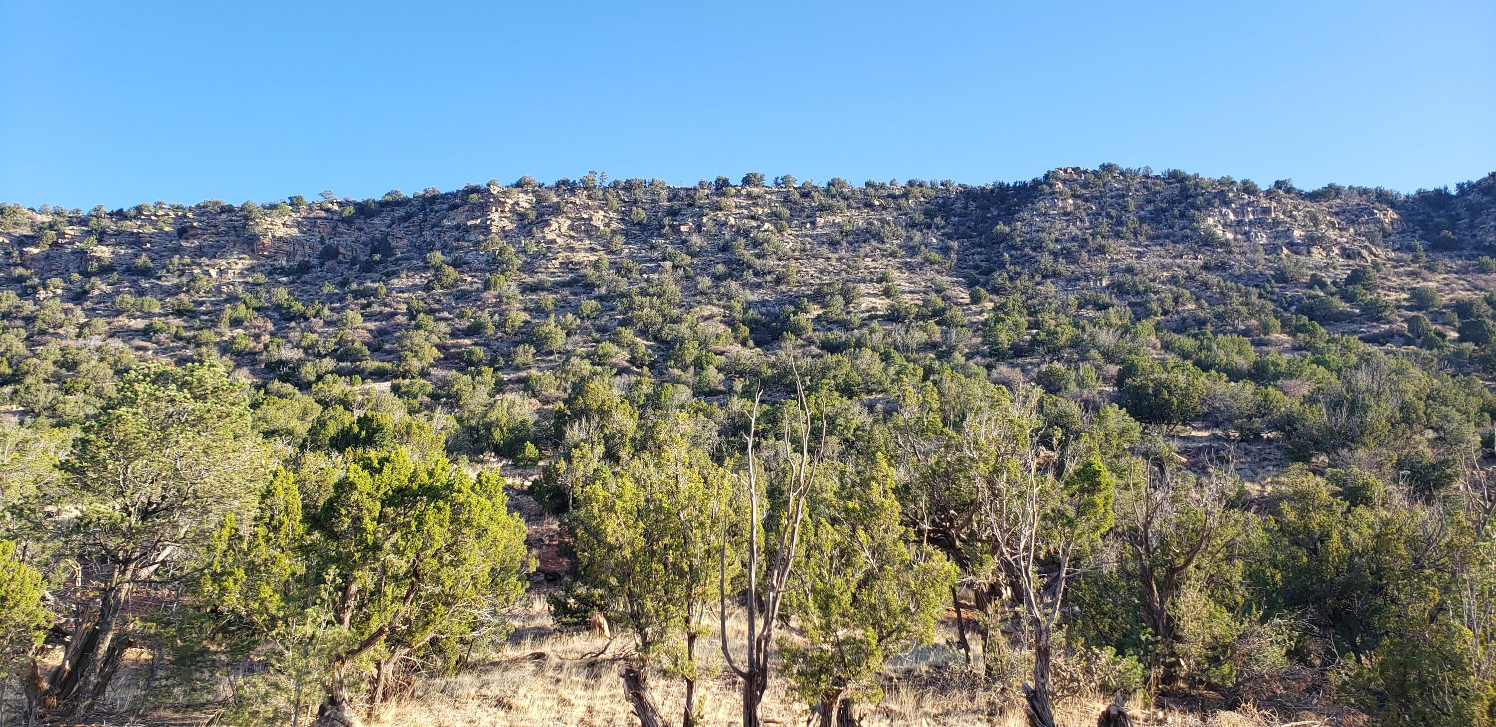 County Rd  B31a, Ribera, New Mexico image 23