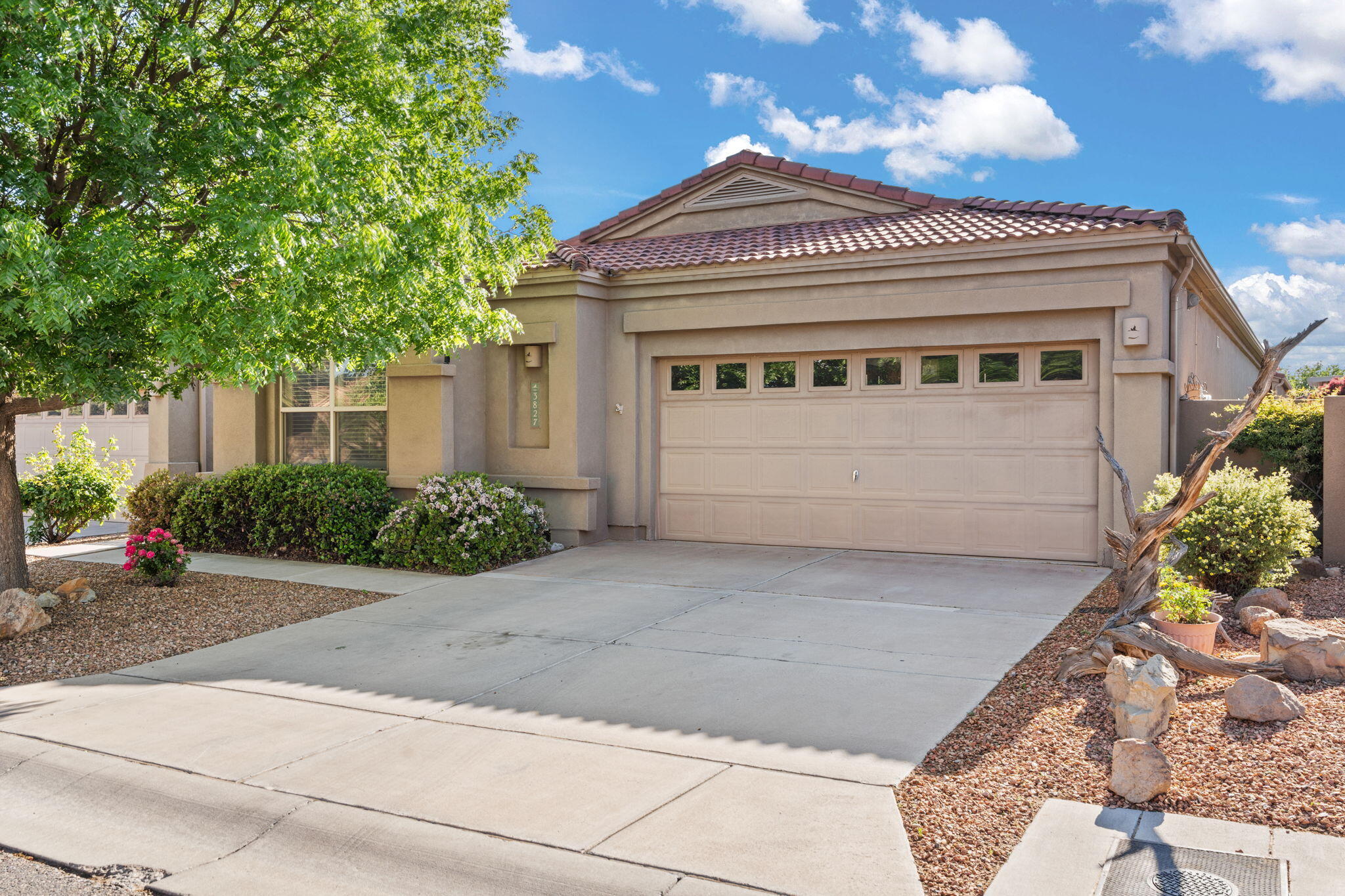 3827 Fox Sparrow Trail, Albuquerque, New Mexico image 1