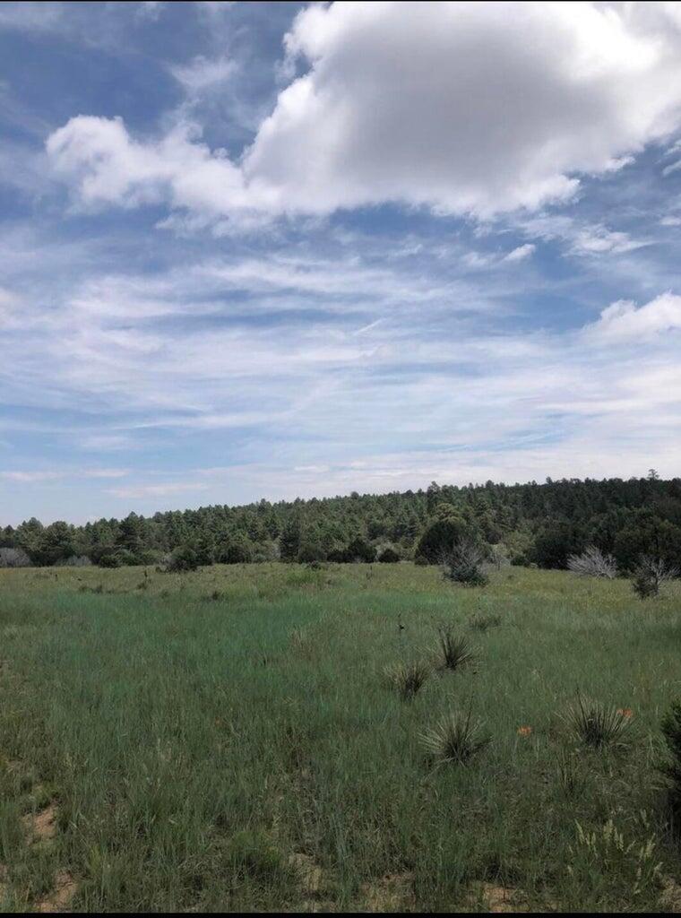 View Tijeras, NM 87059 land