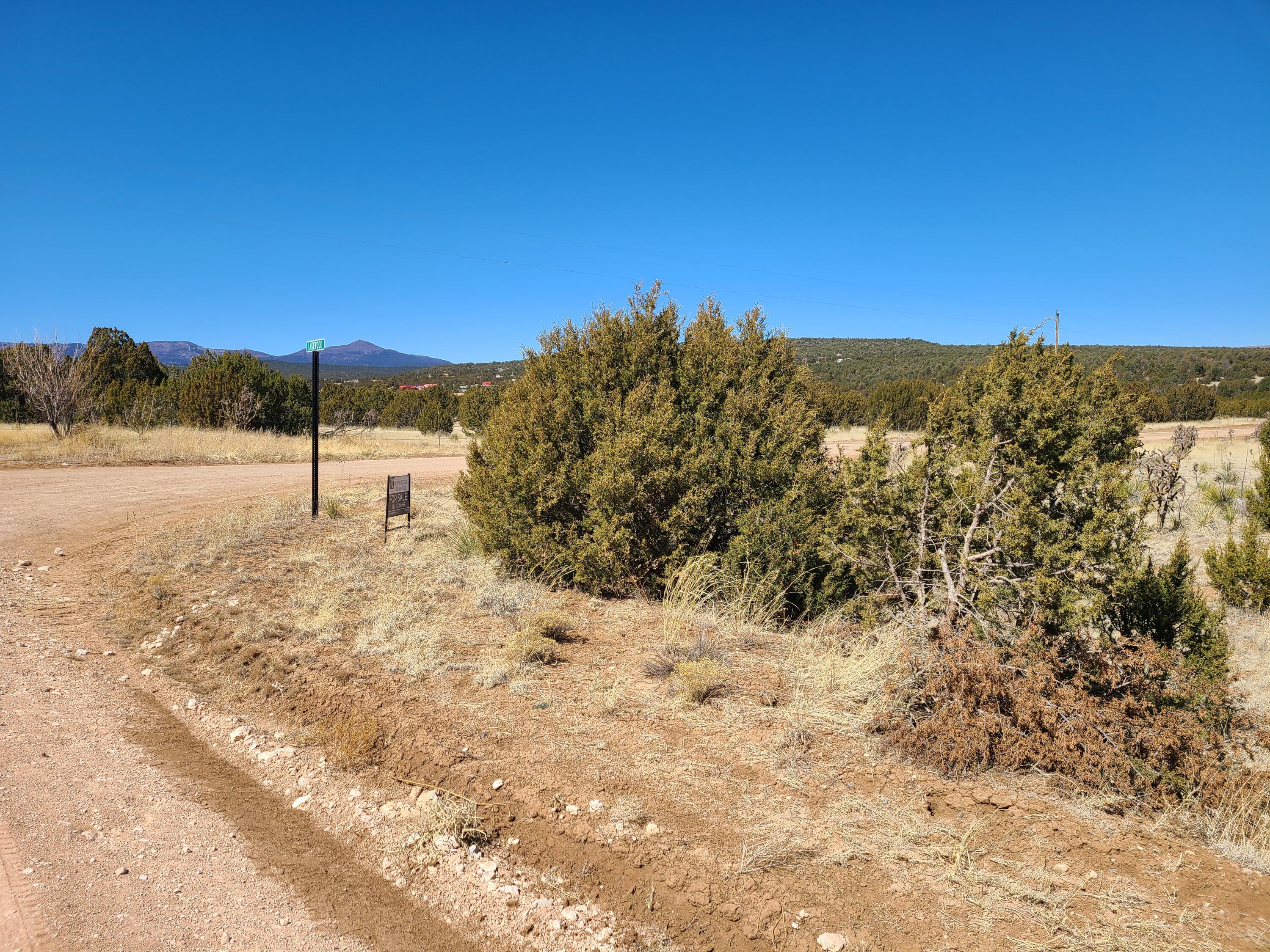 Lakewood Road #20, Tajique, New Mexico image 8