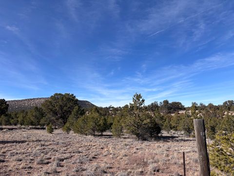 Photo of Lot 17 Horse Peek Ranches Trl, Datil, NM 87821 (MLS # 1095946)