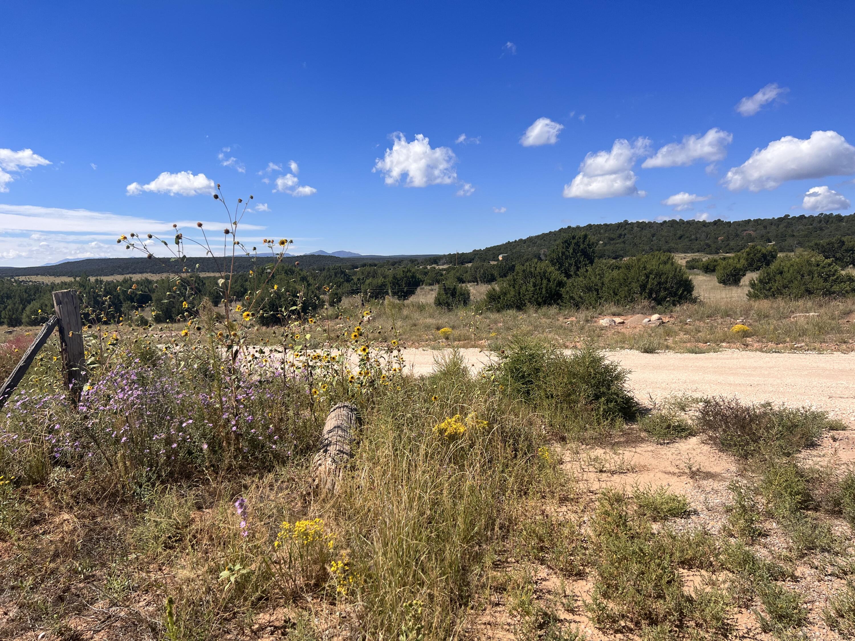 43 Magic Mist Road, Moriarty, New Mexico image 10