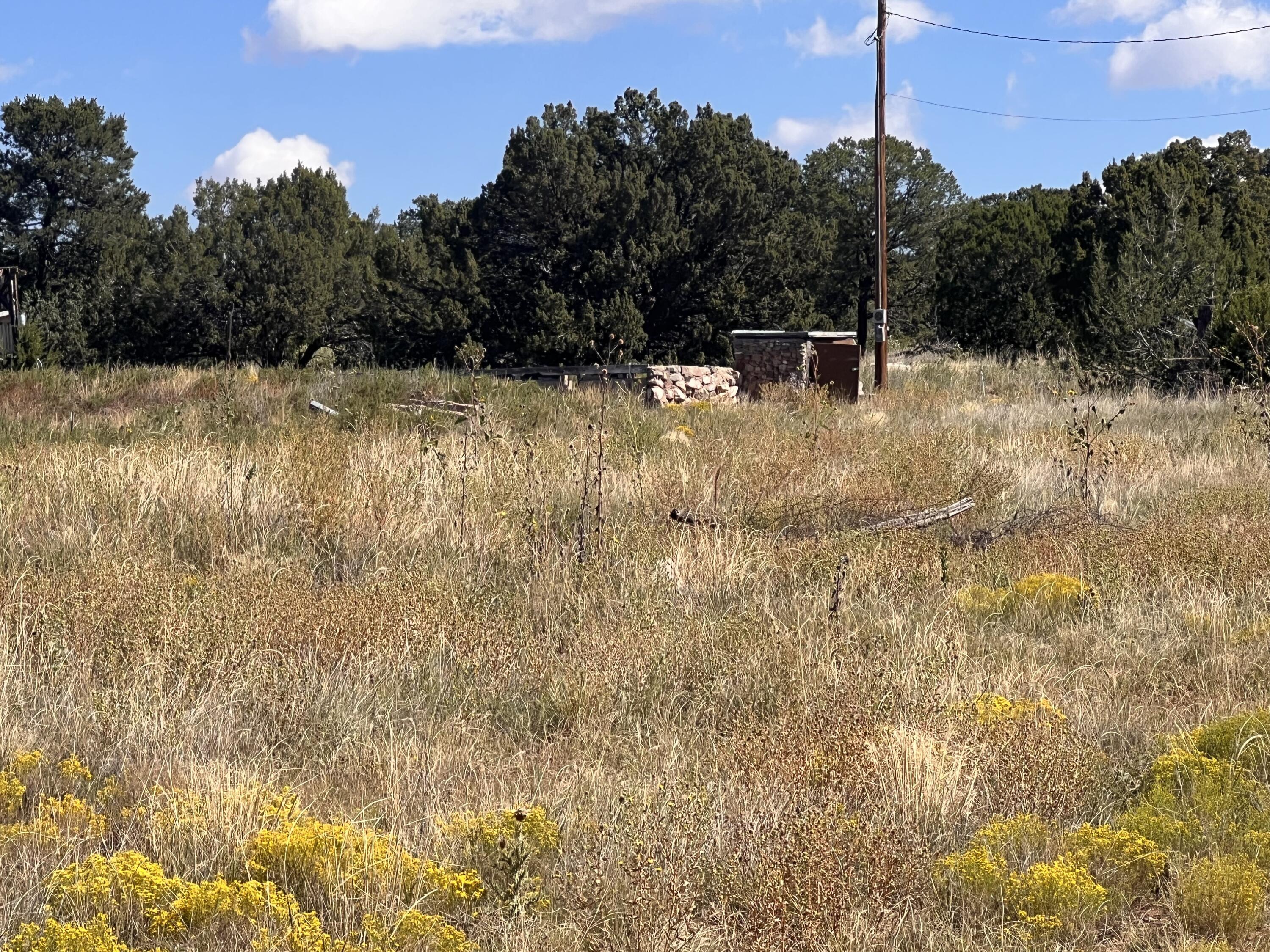 43 Magic Mist Road, Moriarty, New Mexico image 19