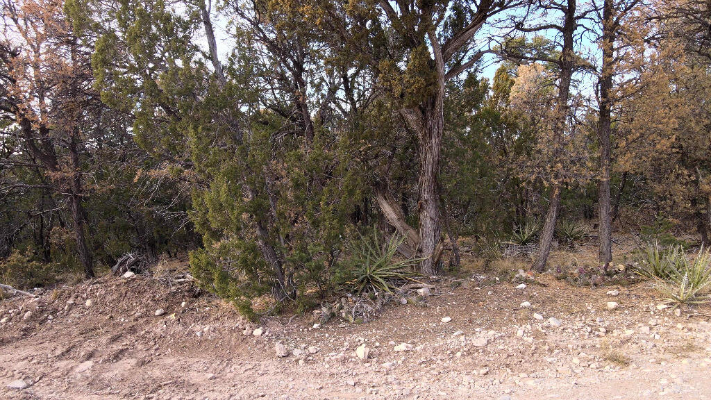 4 Valley Vista Court, Edgewood, New Mexico image 14