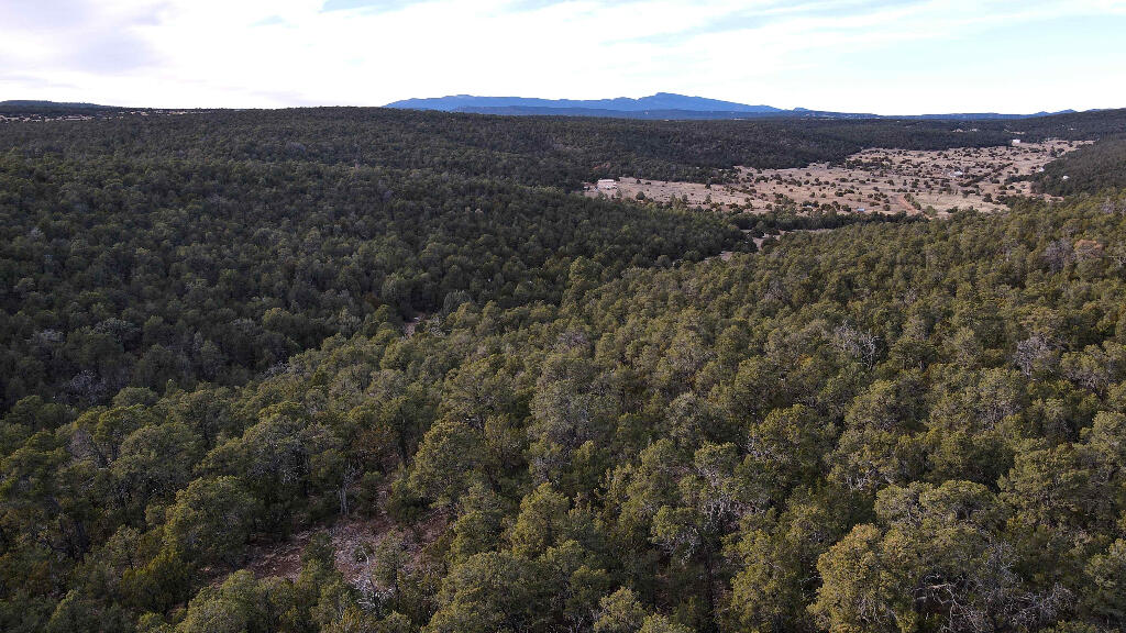 4 Valley Vista Court, Edgewood, New Mexico image 17