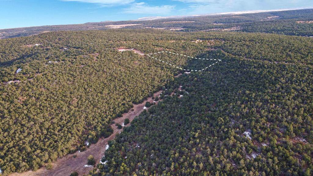 4 Valley Vista Court, Edgewood, New Mexico image 8