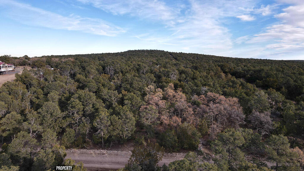 4 Valley Vista Court, Edgewood, New Mexico image 21