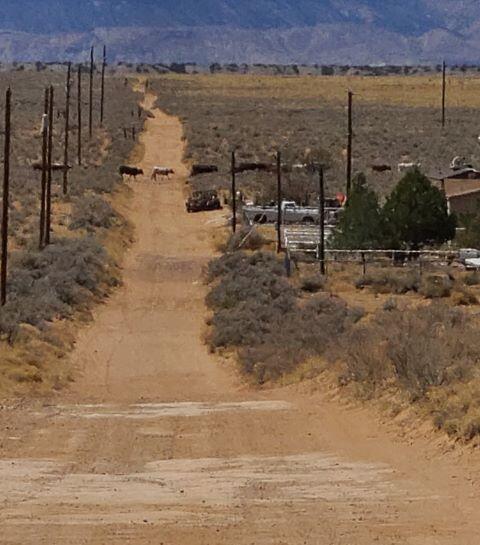 Hormiga Lot 55d Court, Los Lunas, New Mexico image 4