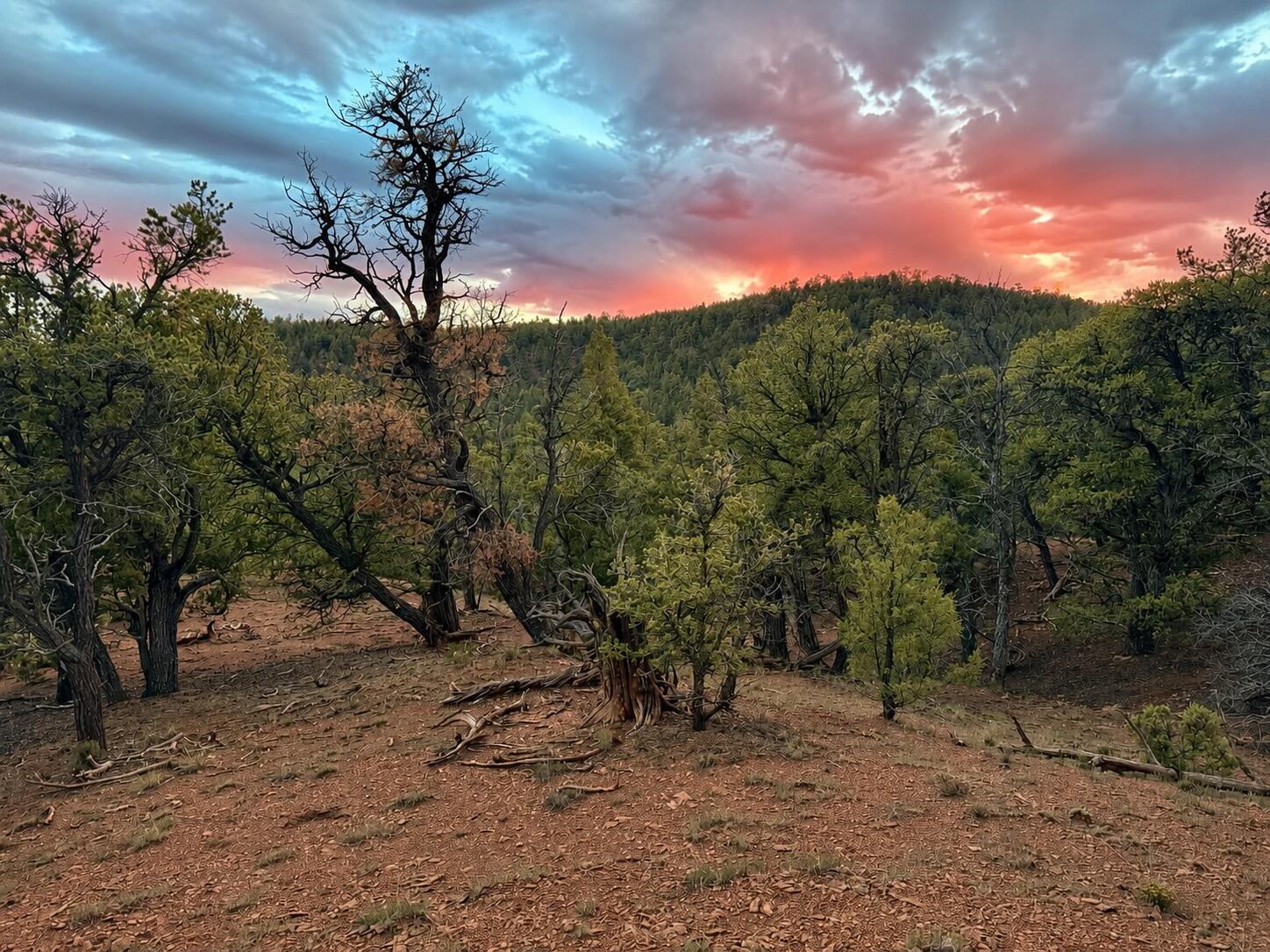 S11 21.205(AC) Venado Crest Road