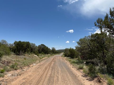 Vacant Land For Sale - 44 Forest Rd 321<br/> Torrance County, Estancia, NM 87016