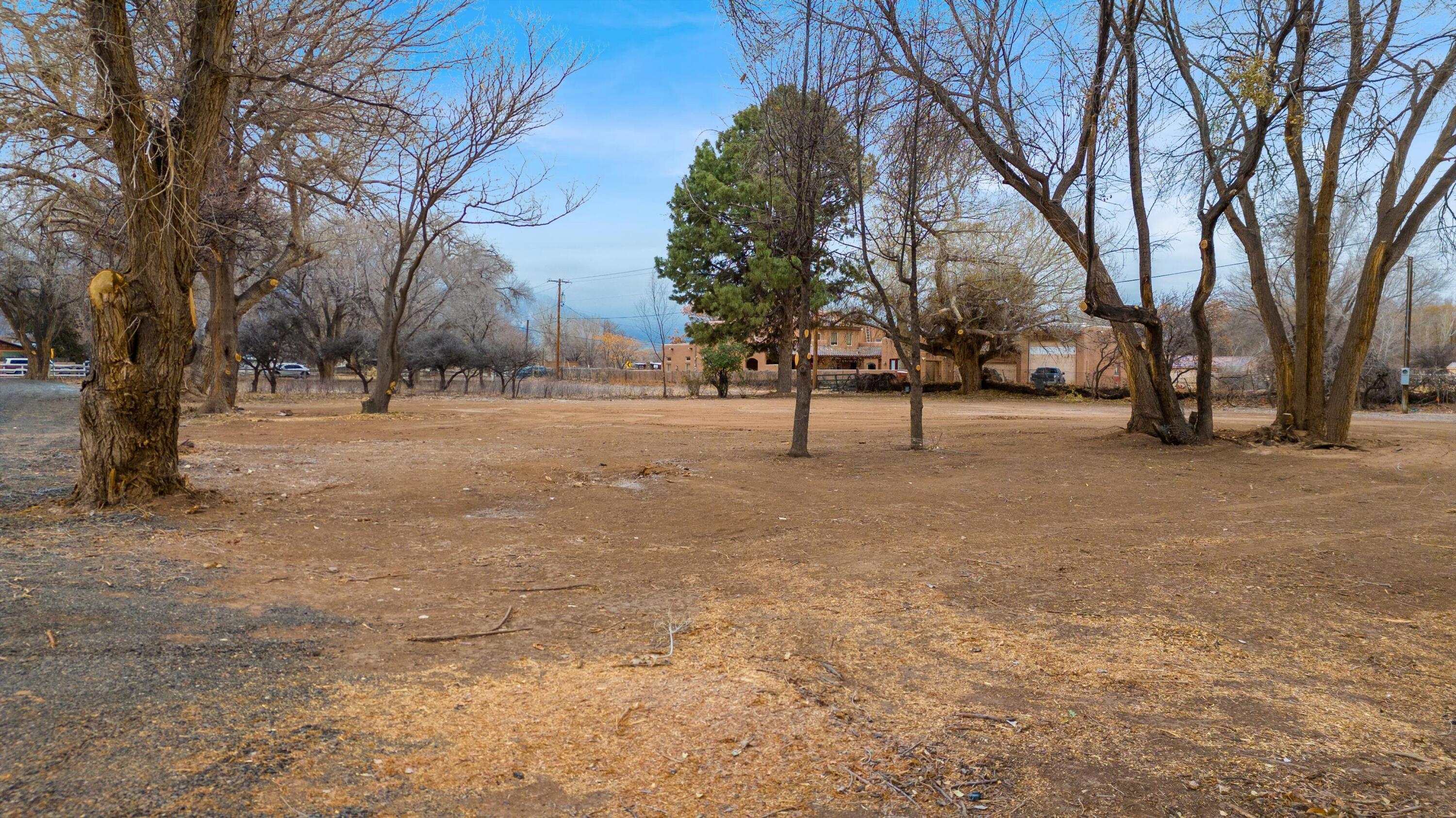 40 Blue Sky, Corrales, New Mexico image 4