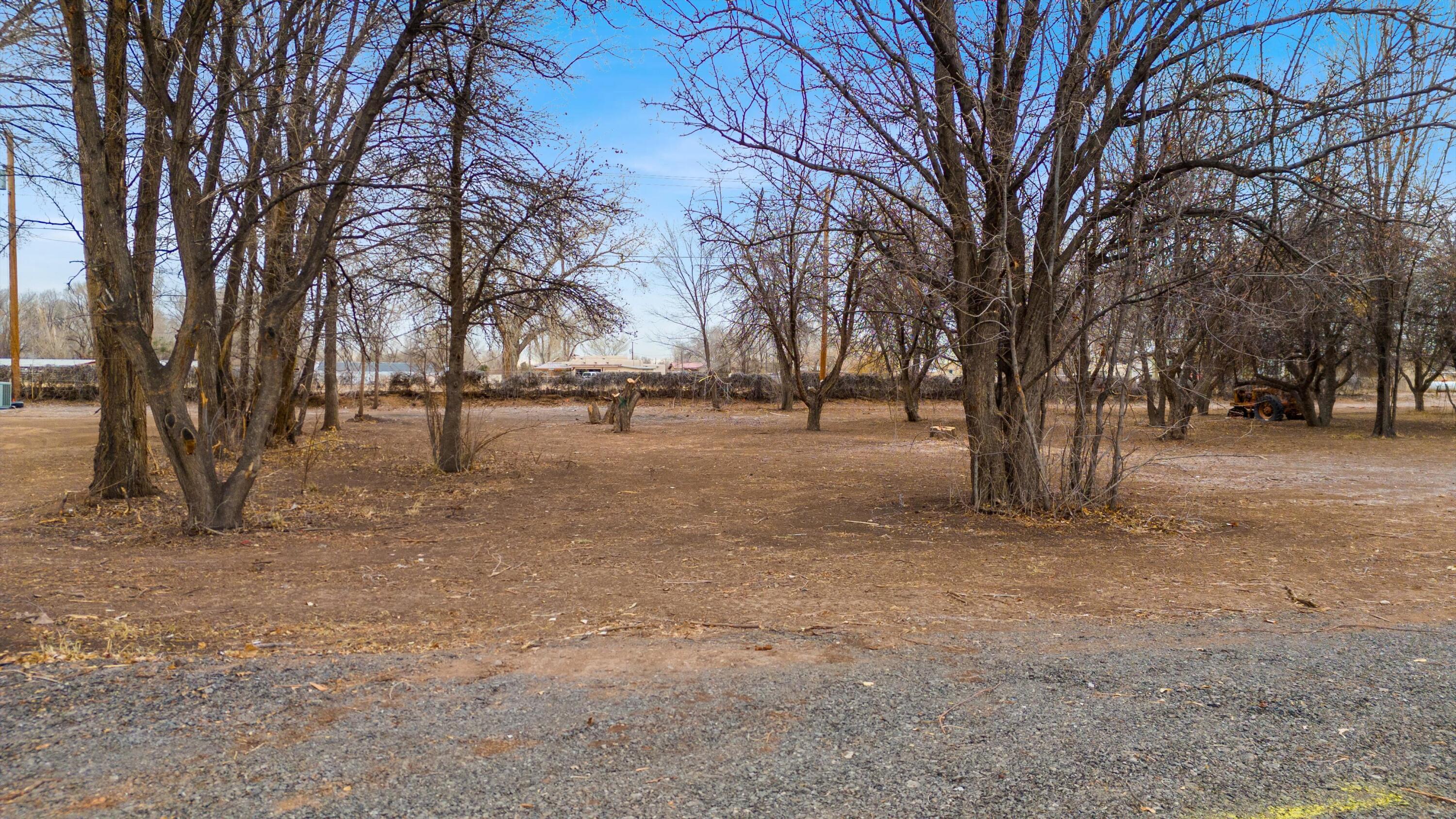 40 Blue Sky, Corrales, New Mexico image 5