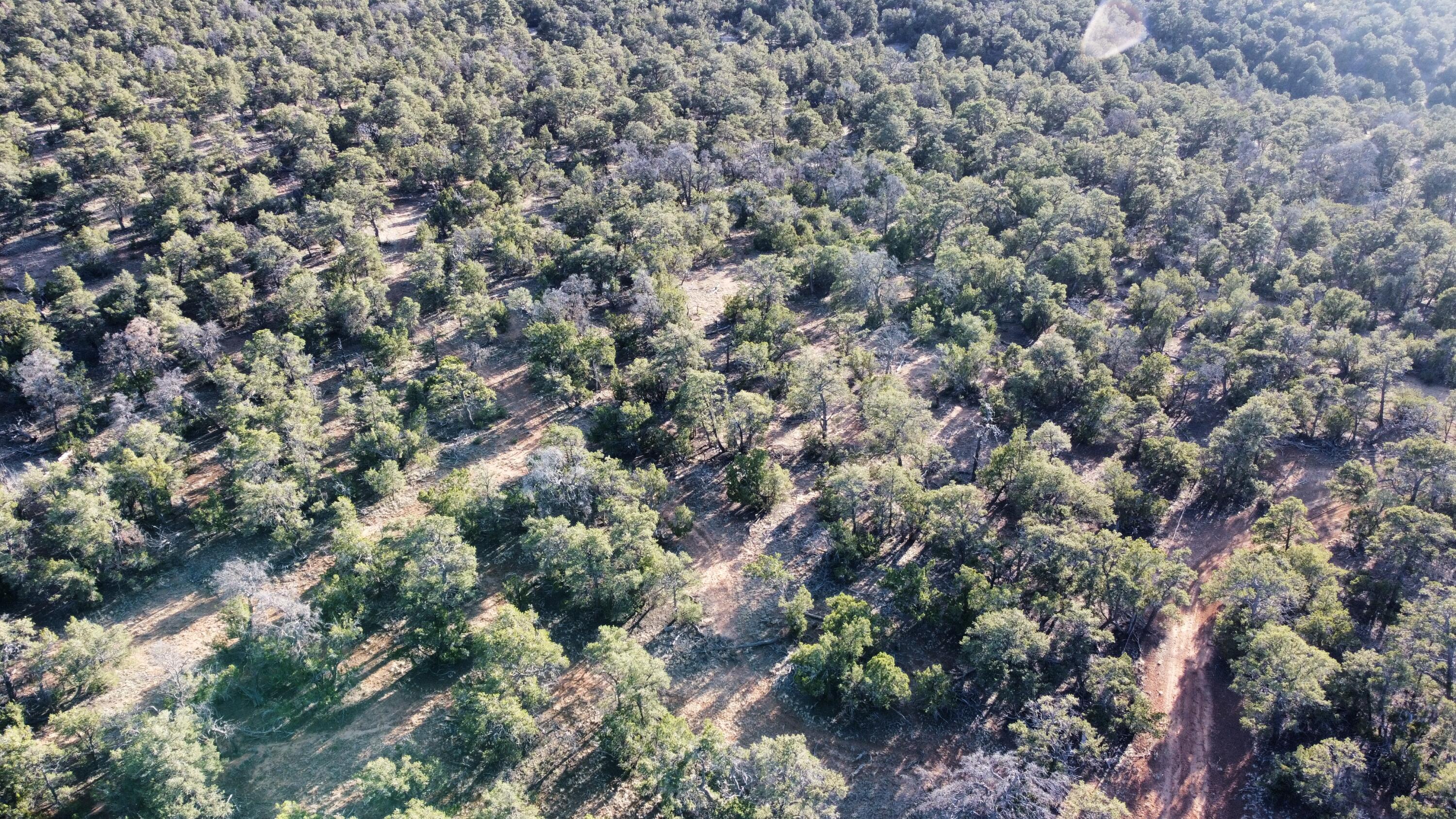 Lot 5 Misty Lane, Ramah, New Mexico image 5