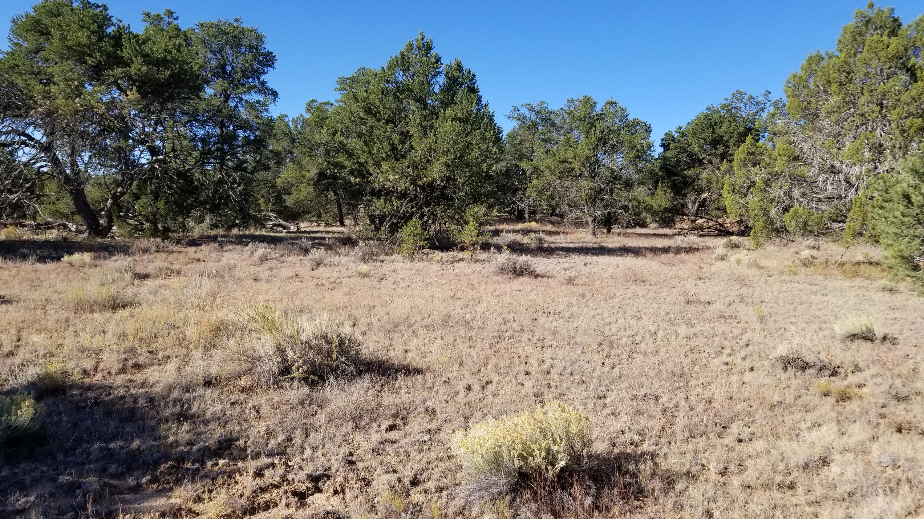 Lot 5 Misty Lane, Ramah, New Mexico image 1