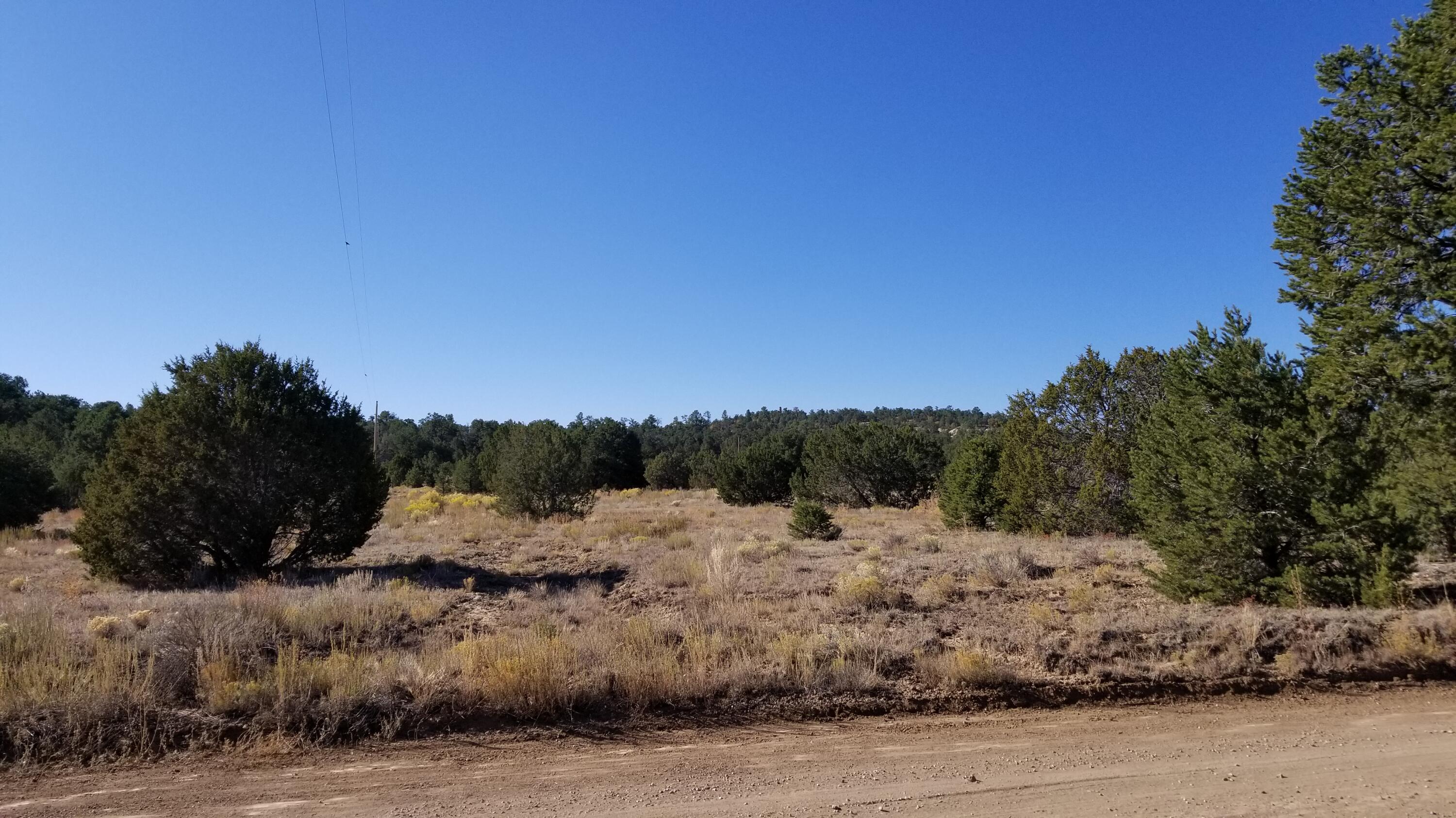 Lot 5 Misty Lane, Ramah, New Mexico image 2