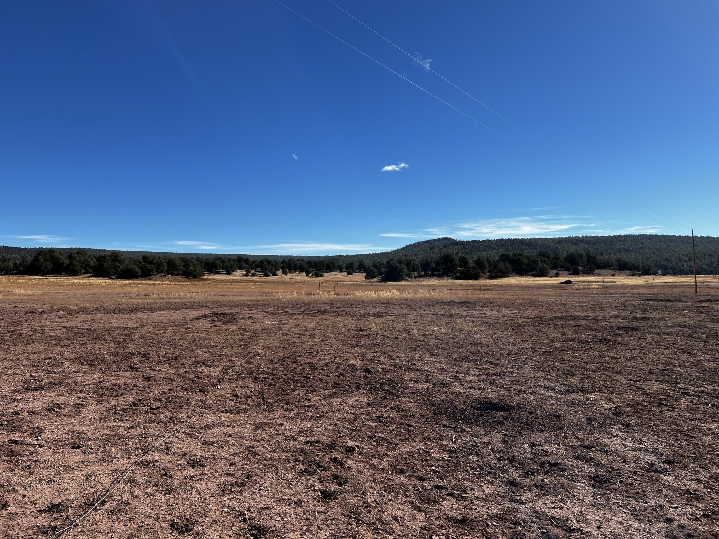 Lot 2-B Box S Ranch Road, Ramah, New Mexico image 14