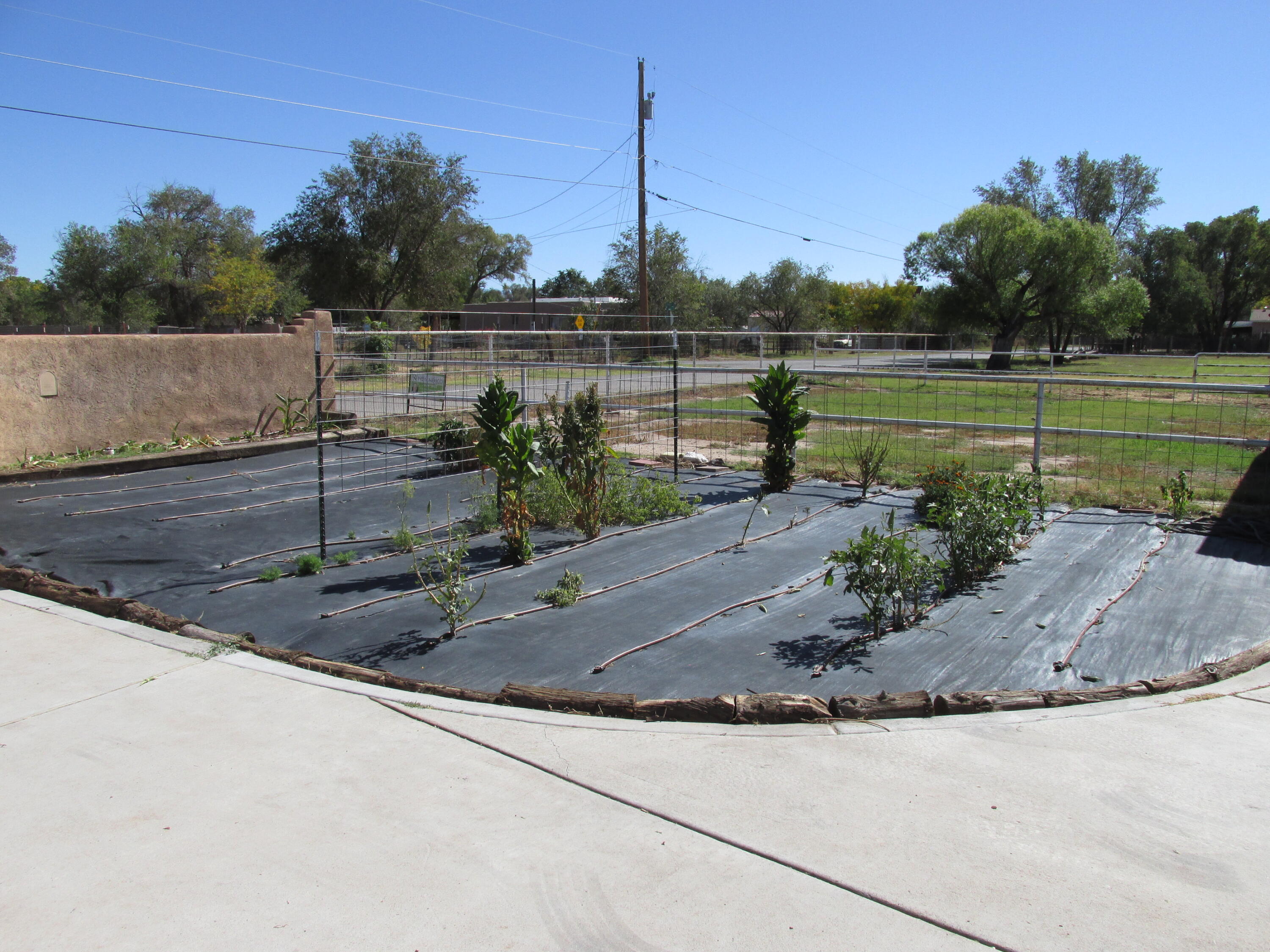 515 Braught Road, Bosque Farms, New Mexico image 27