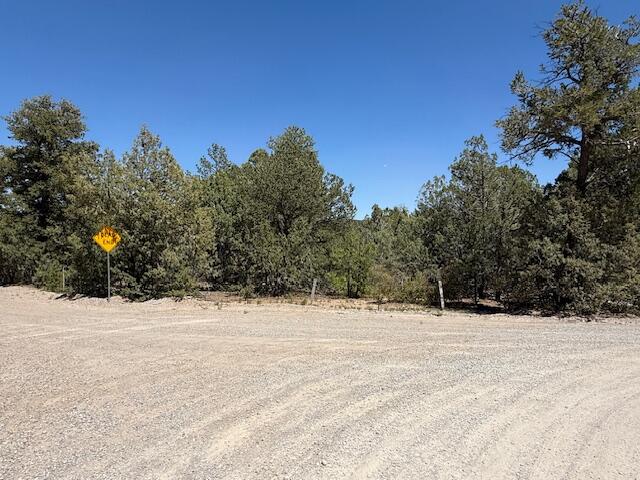 15 Memory Lane, Tijeras, New Mexico image 5