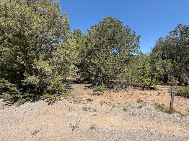 15 Memory Lane, Tijeras, New Mexico image 1