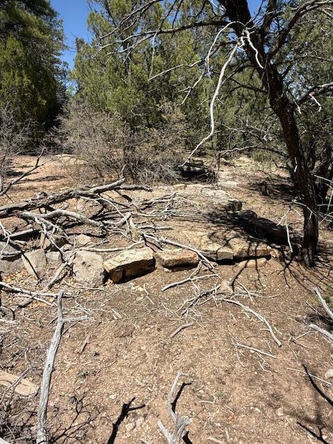 15 Memory Lane, Tijeras, New Mexico image 6