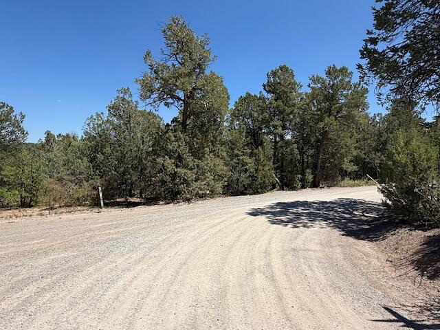 15 Memory Lane, Tijeras, New Mexico image 4
